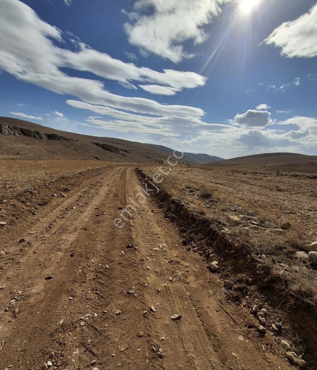 Yaşar Emlaktan Satılık Tarla - Görsel 15