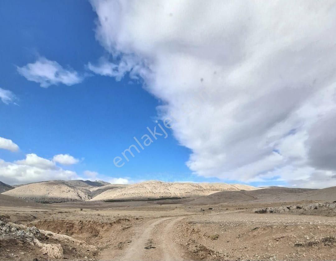 Yaşar Emlaktan Satılık Tarla - Görsel 5