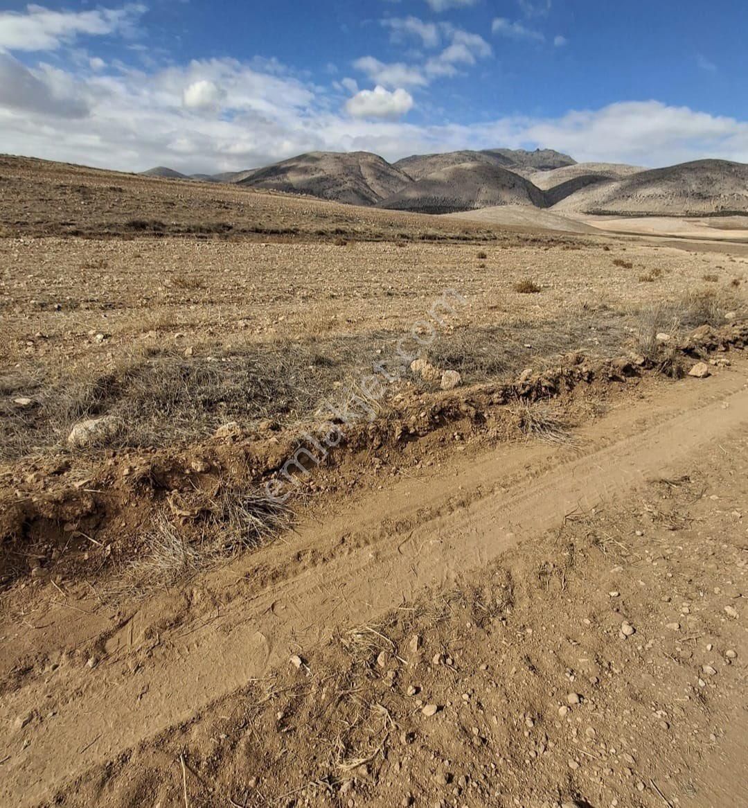 Yaşar Emlaktan Satılık Tarla - Görsel 14