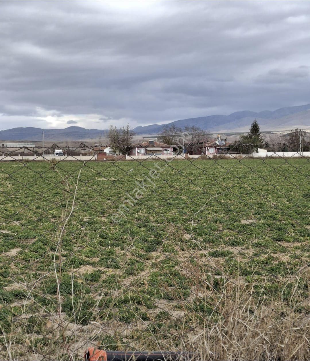 Yaşar Emlaktan Satılık Tarla - Görsel 10