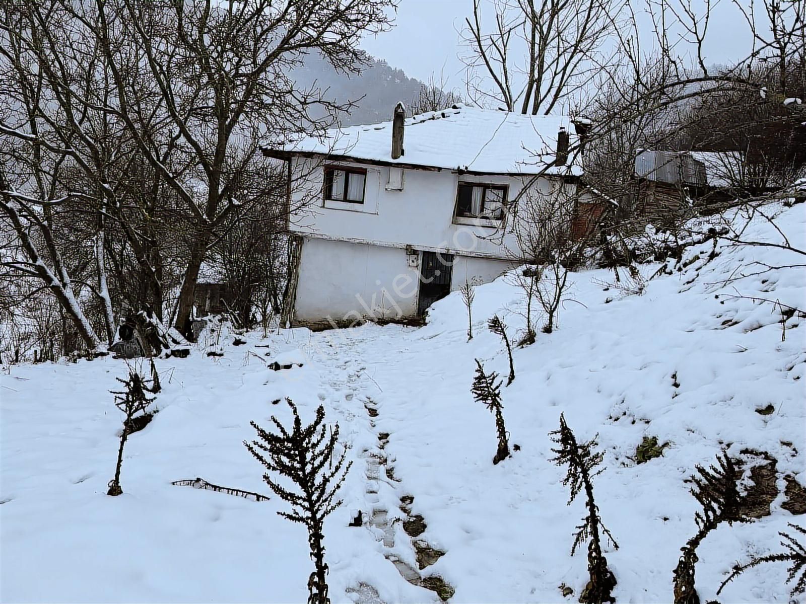 Bolu Göynük 3800 M2 Arsa Üzerinde Satılık Müstakil Ev - Görsel 6