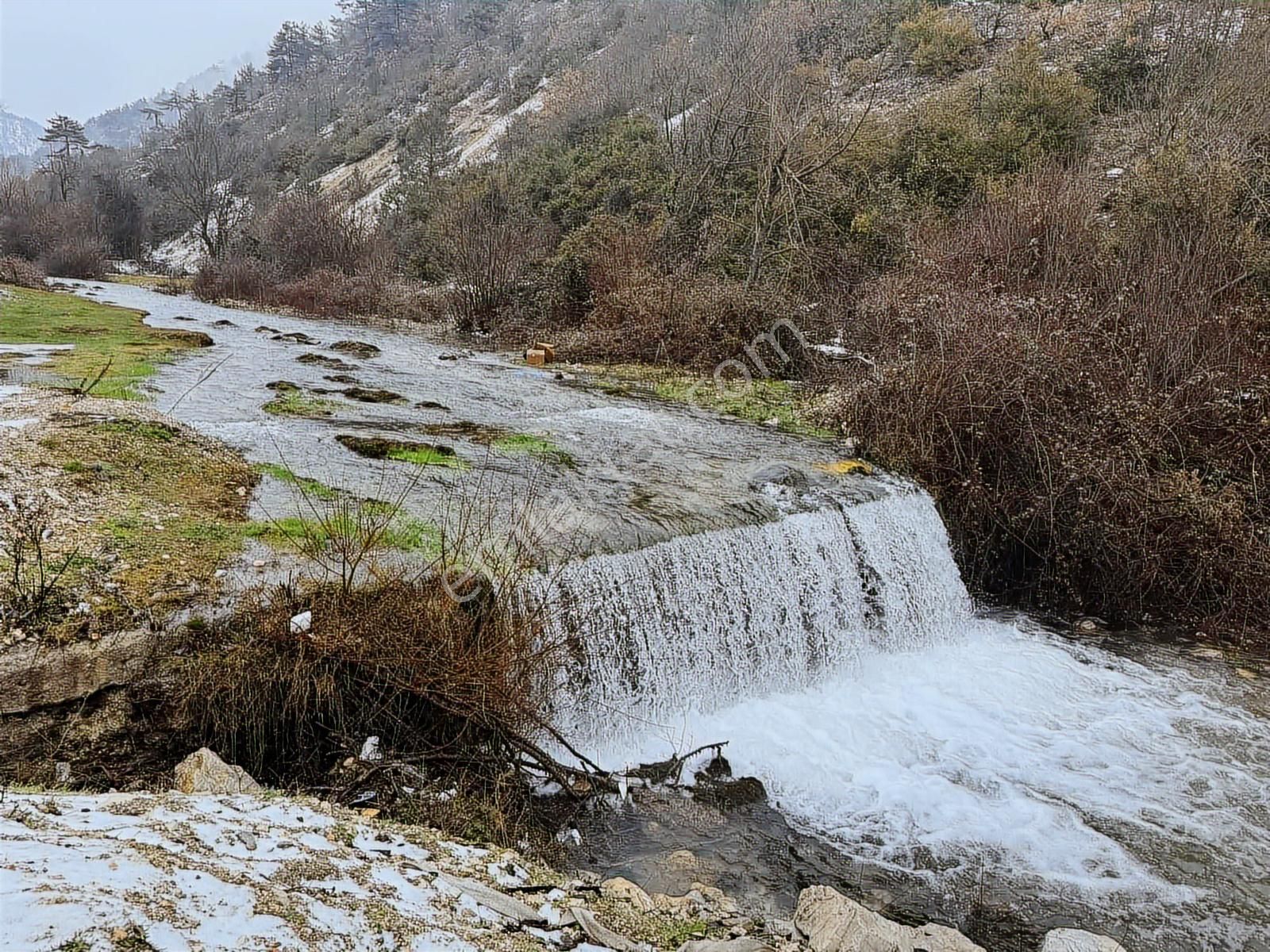 Bolu Göynük 3800 M2 Arsa Üzerinde Satılık Müstakil Ev - Görsel 9