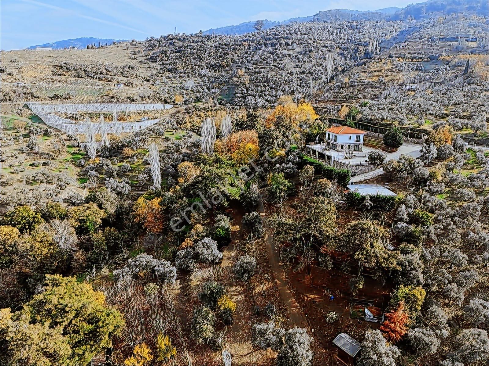 Şirince'de İşletme Ruhsatlı Satılık Çiftlik Evi Ve Arazisi - Görsel 31