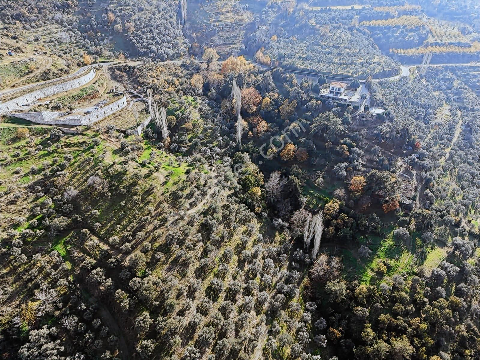 Şirince'de İşletme Ruhsatlı Satılık Çiftlik Evi Ve Arazisi - Görsel 18