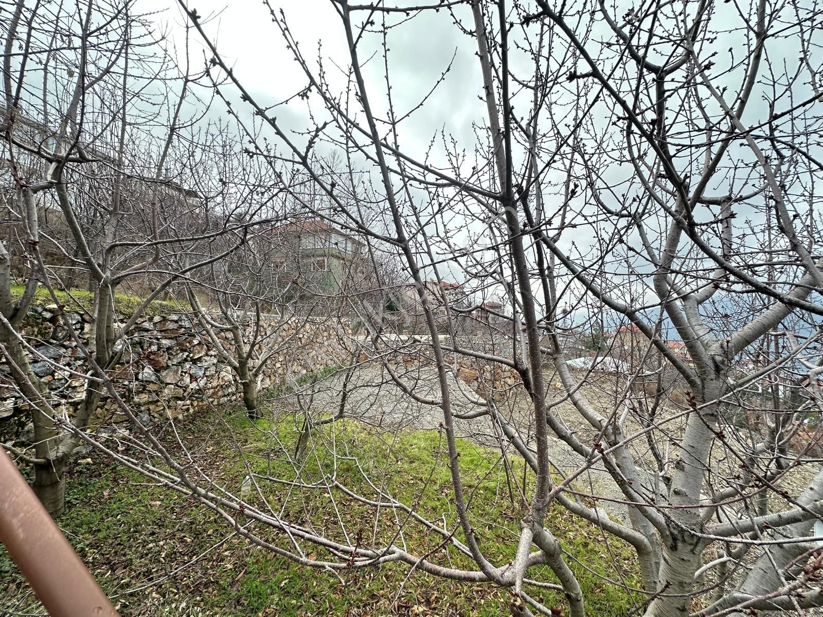 Alanya Gedevet'de Satılık 526m2 Yola Sıfır Masrafsız Tarla - Görsel 18