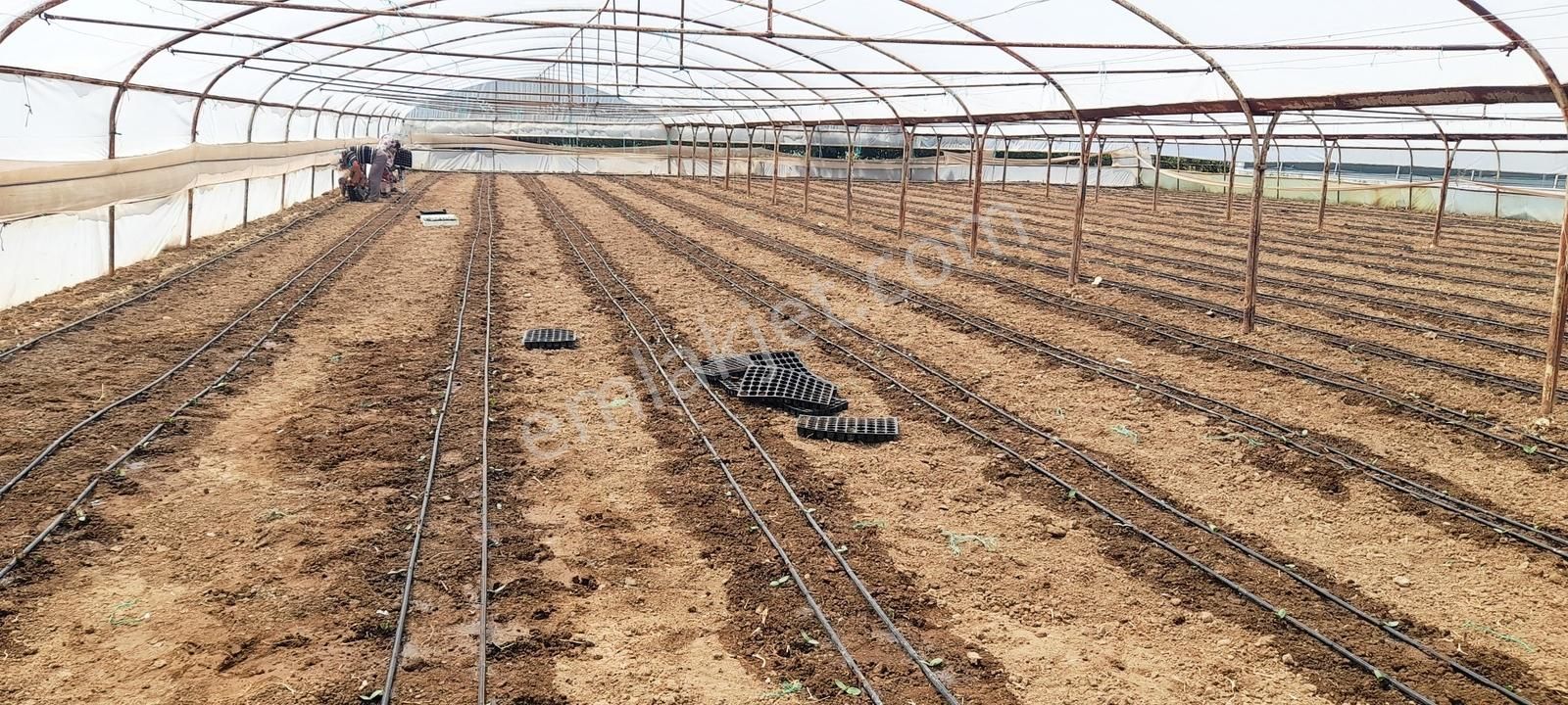 Rw Nefes'ten; Getirisi Çok Yüksek Verimli, Yatırımlık Sera - Görsel 23