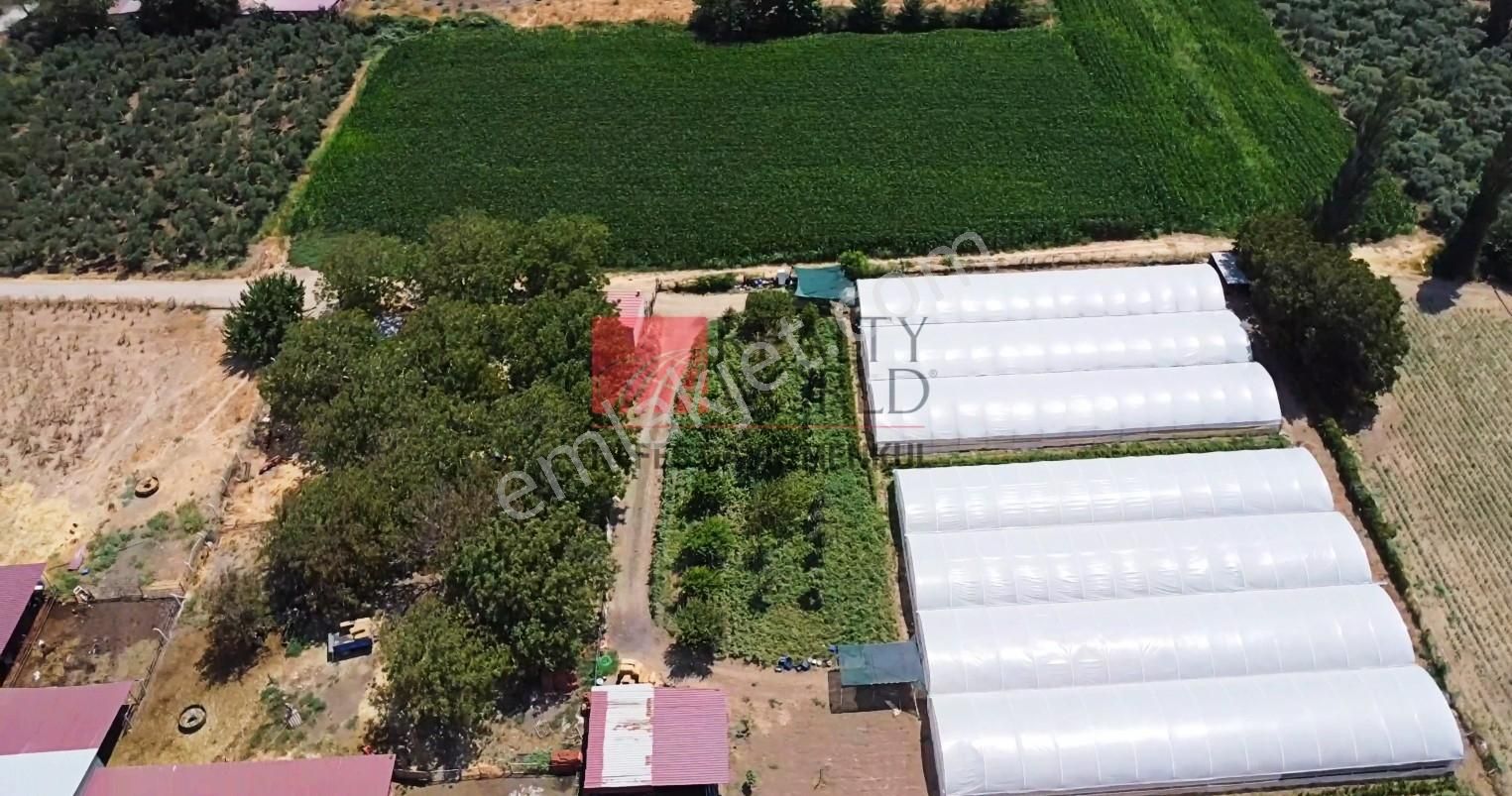 Rw Nefes'ten; Getirisi Çok Yüksek Verimli, Yatırımlık Sera - Görsel 21