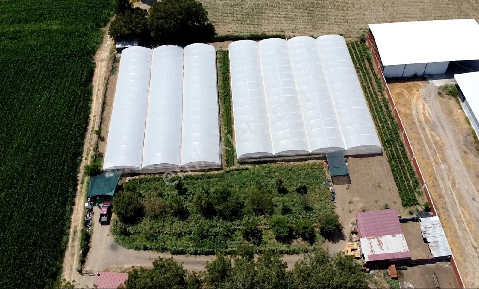 Rw Nefes'ten; Getirisi Çok Yüksek Verimli, Yatırımlık Sera