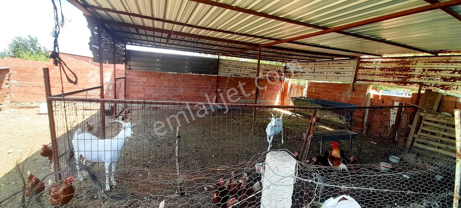 Rw Nefes'ten; Getirisi Çok Yüksek Verimli, Yatırımlık Sera - Görsel 24