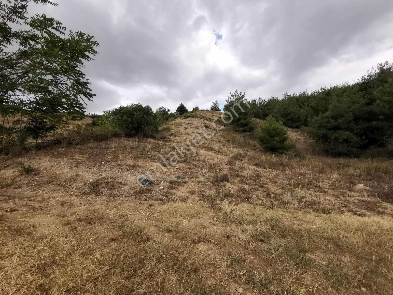 Yenişehir Çelebi'de 8.639 M2 Bağ - Tek Tapu - Görsel 14