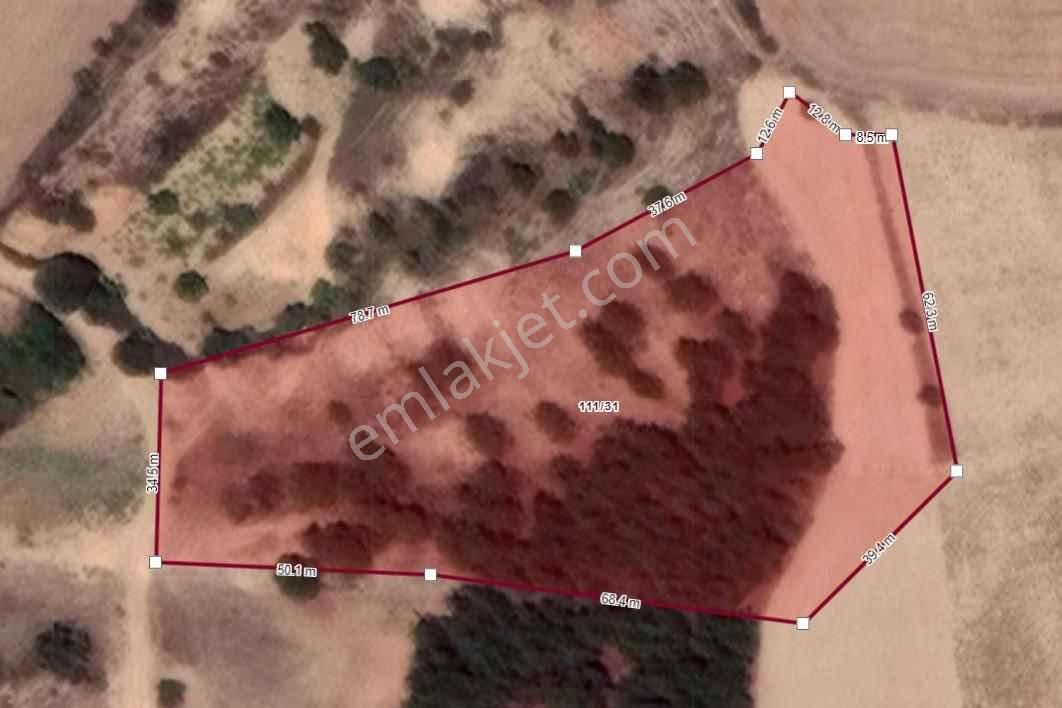 Yenişehir Çelebi'de 8.639 M2 Bağ - Tek Tapu