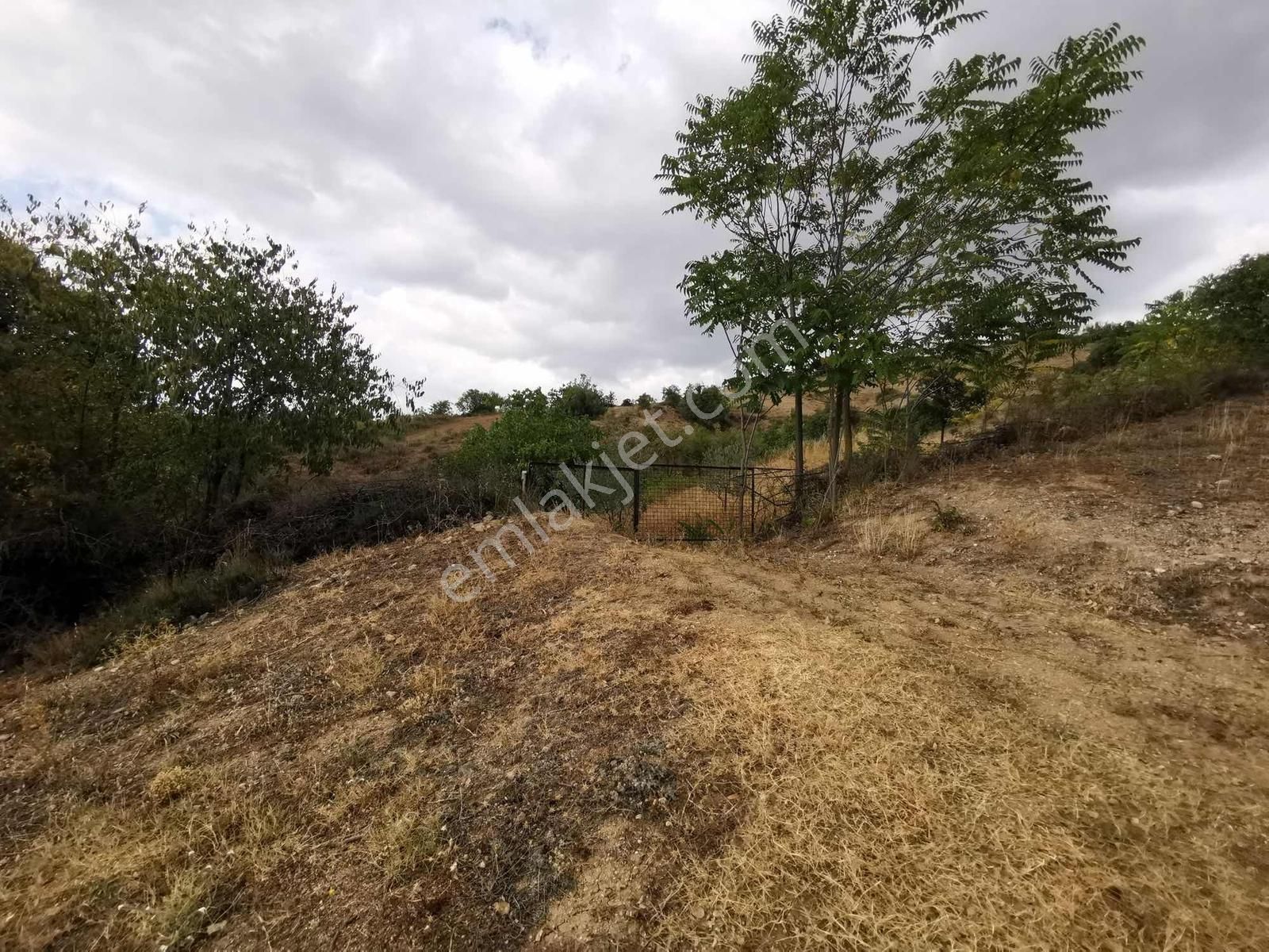 Yenişehir Çelebi'de 8.639 M2 Bağ - Tek Tapu - Görsel 6