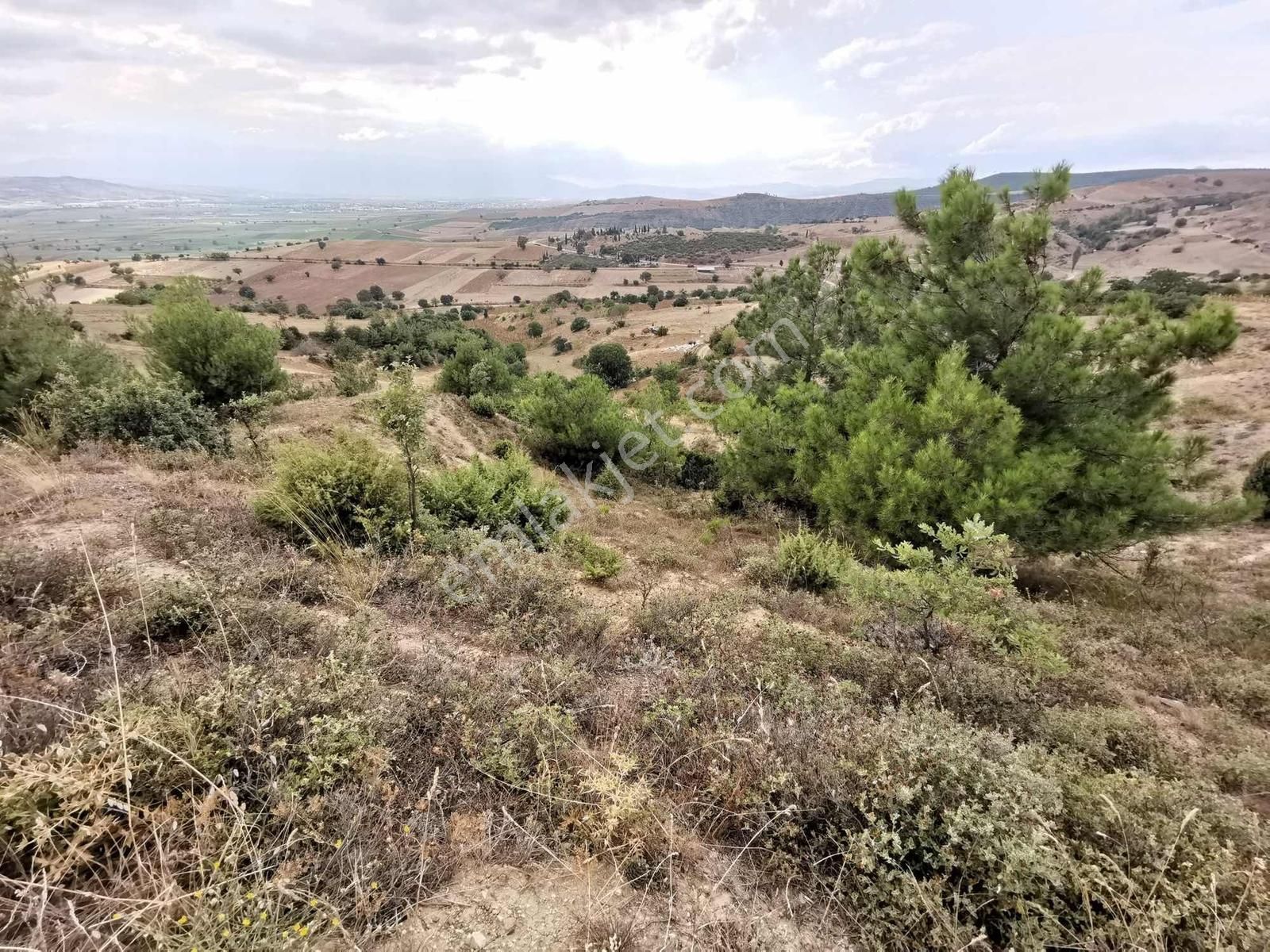 Yenişehir Çelebi'de 8.639 M2 Bağ - Tek Tapu - Görsel 10