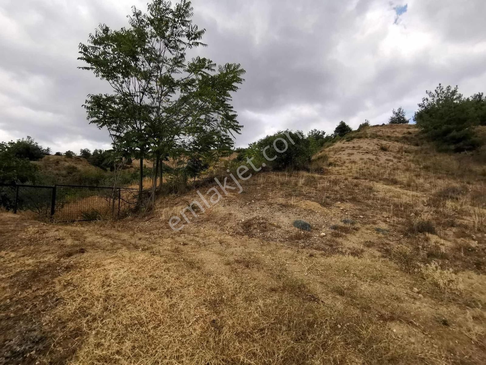 Yenişehir Çelebi'de 8.639 M2 Bağ - Tek Tapu - Görsel 7