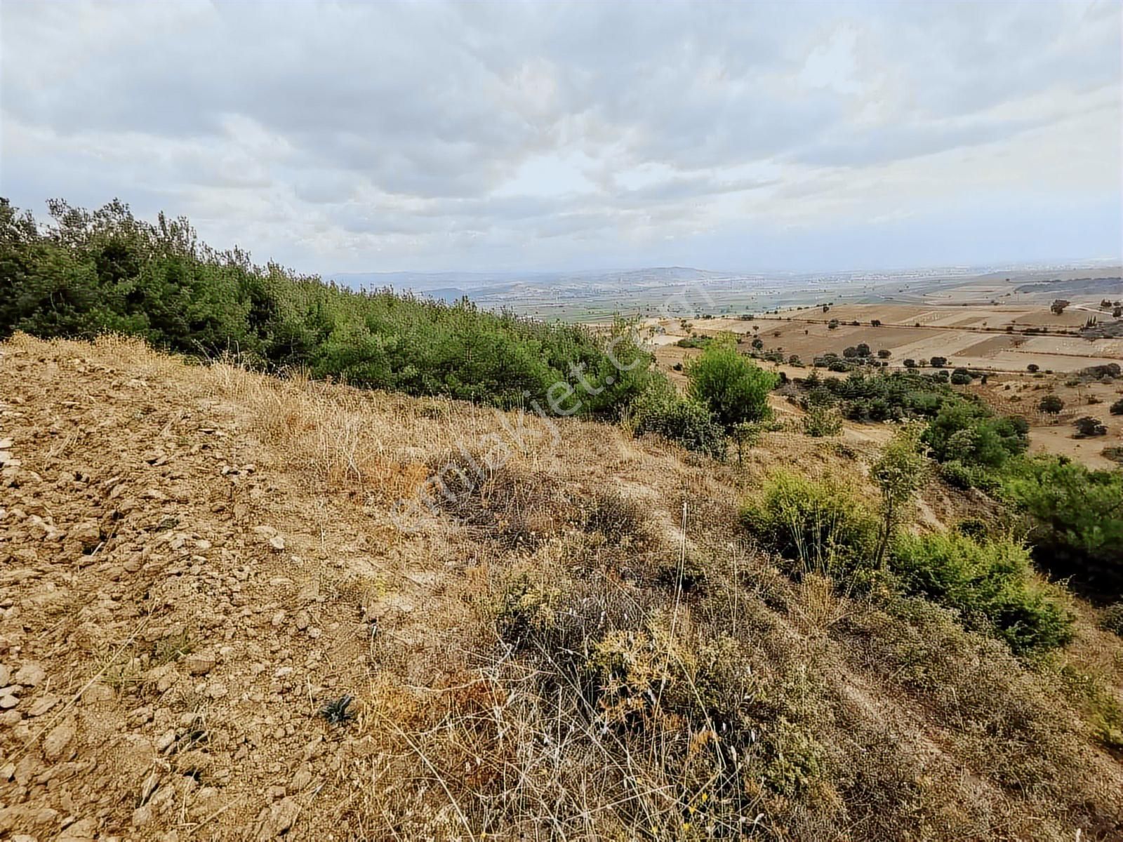 Yenişehir Çelebi'de 8.639 M2 Bağ - Tek Tapu - Görsel 15