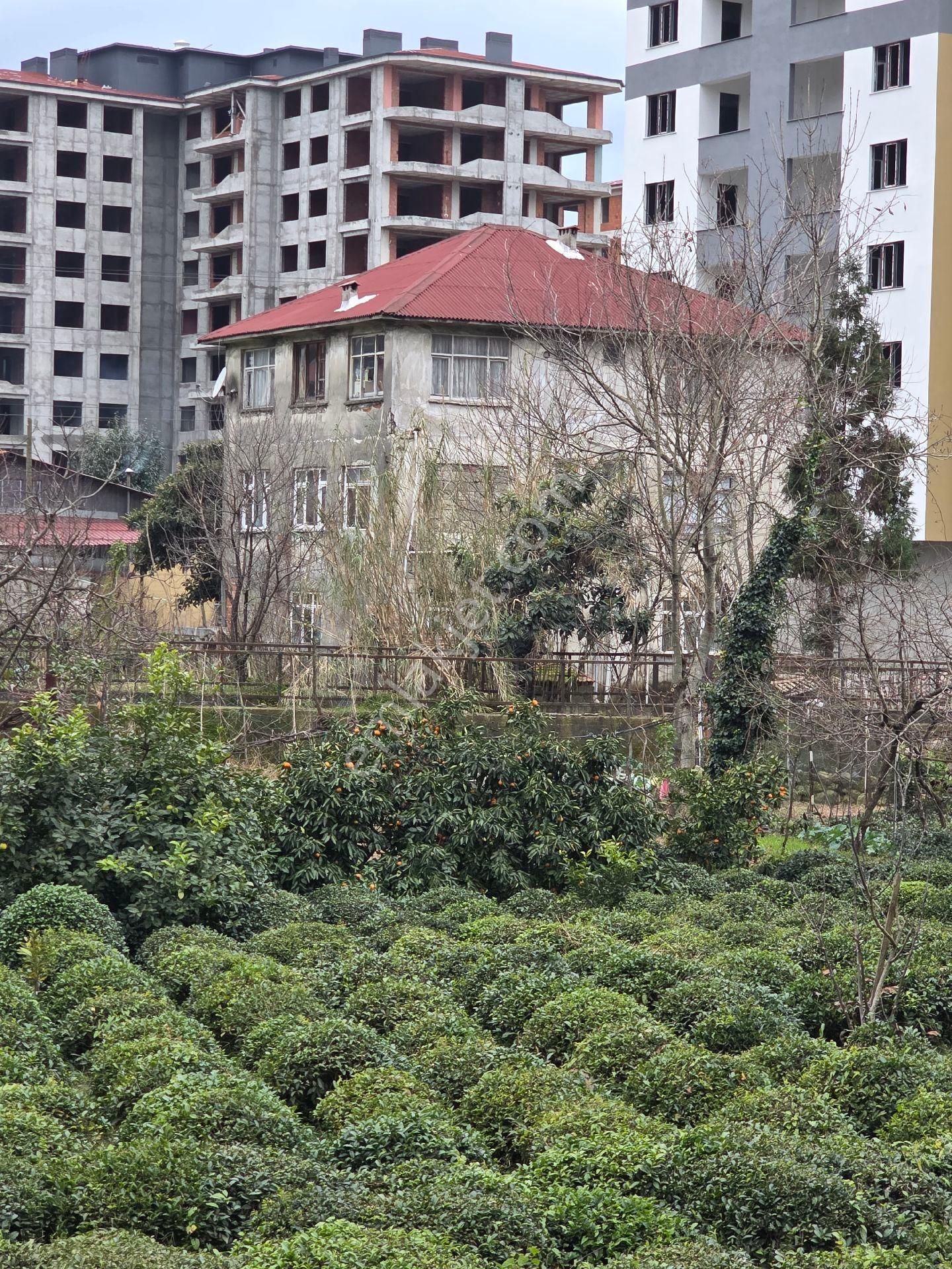 Taşçioğlu Emlaktan Satılık İmarlı Arsa 10 Kat İmarlı 900m2 Bürüt İnşaat Alanı Var - Görsel 4