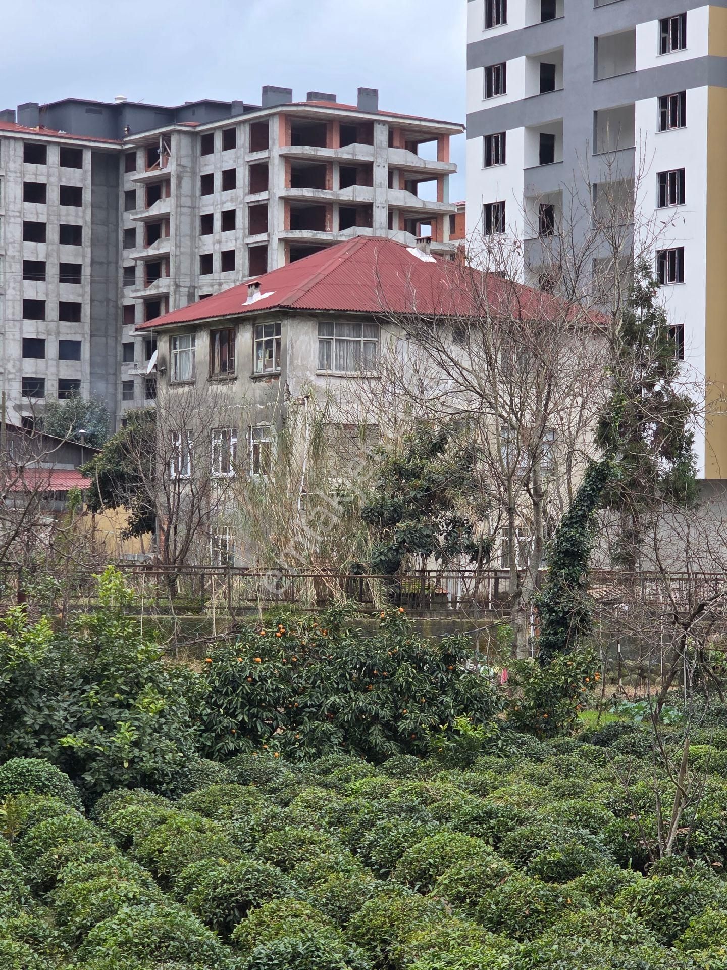 Taşçioğlu Emlaktan Satılık İmarlı Arsa 10 Kat İmarlı 900m2 Bürüt İnşaat Alanı Var - Görsel 6