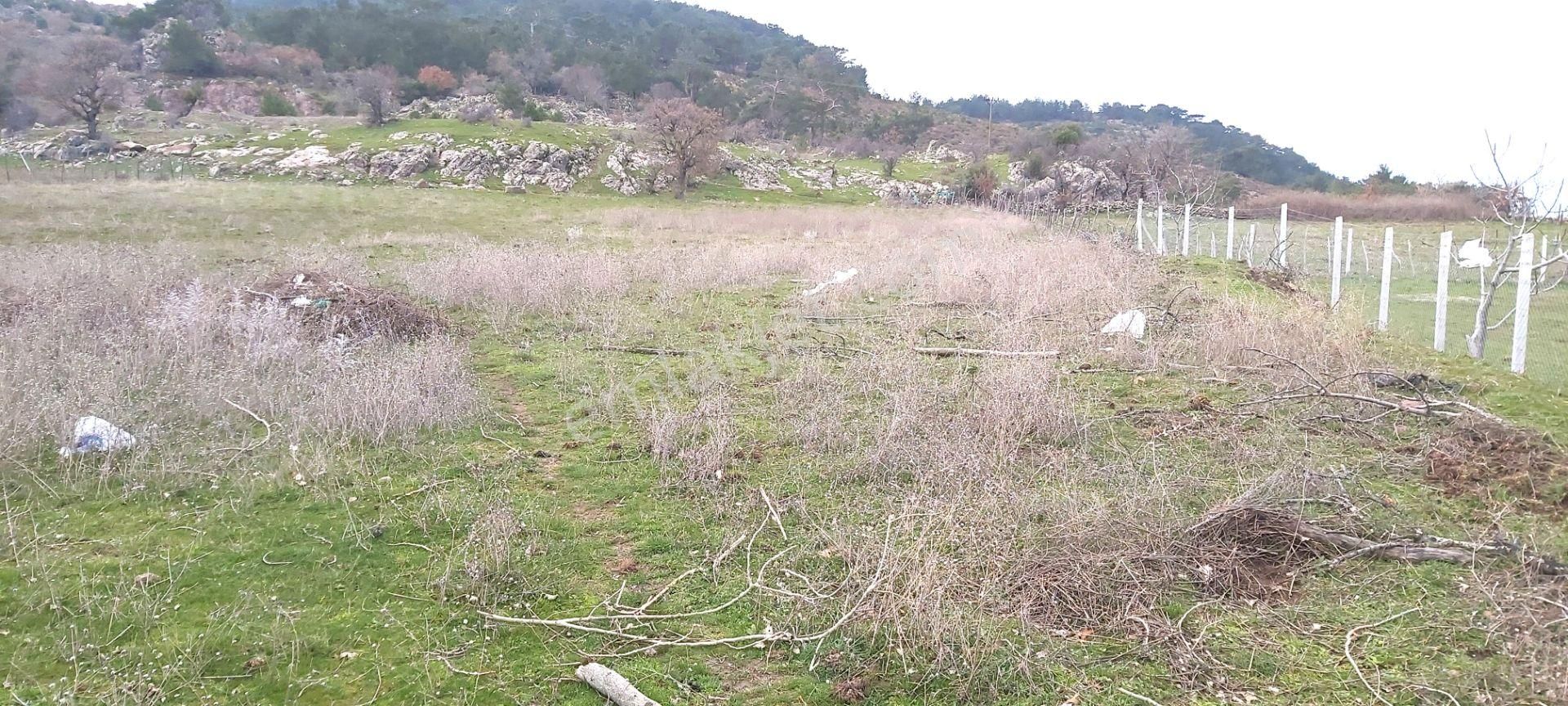 Akçay Artı Emlak'tan Havran Kocadağ'da Satılık 6400m2 Tarla - Görsel 8