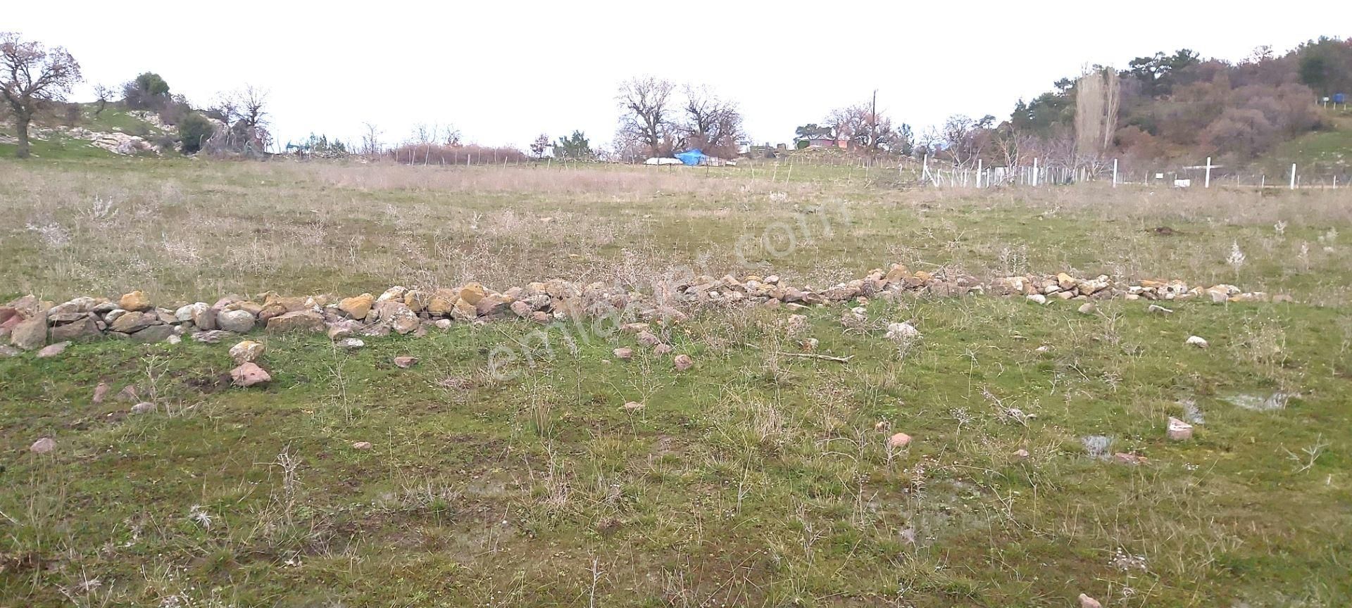 Akçay Artı Emlak'tan Havran Kocadağ'da Satılık 6400m2 Tarla - Görsel 19