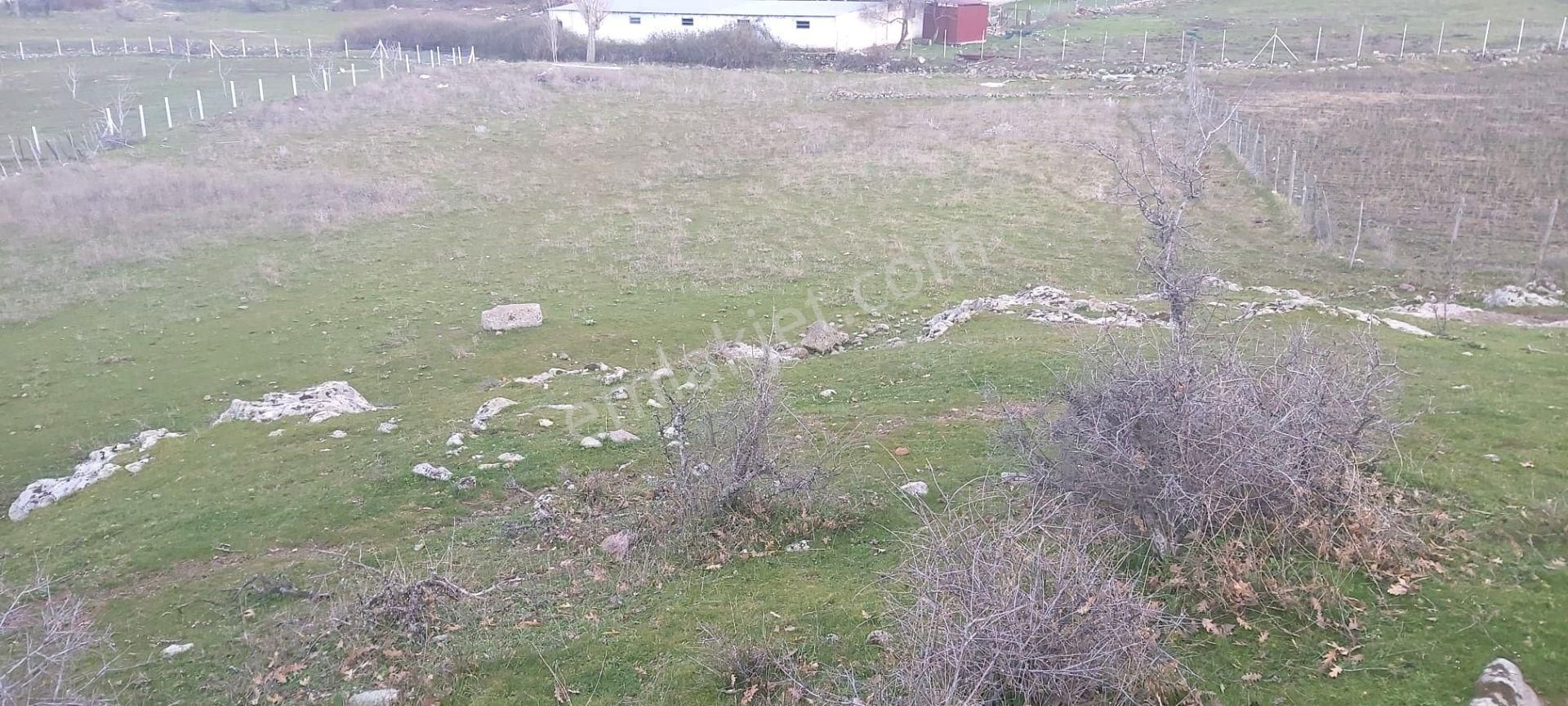 Akçay Artı Emlak'tan Havran Kocadağ'da Satılık 6400m2 Tarla - Görsel 13