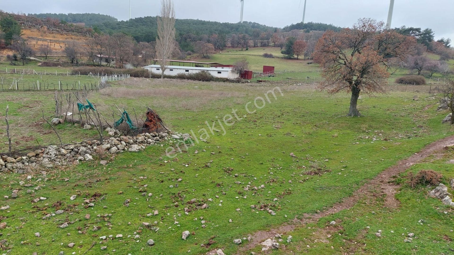 Akçay Artı Emlak'tan Havran Kocadağ'da Satılık 6400m2 Tarla - Görsel 28