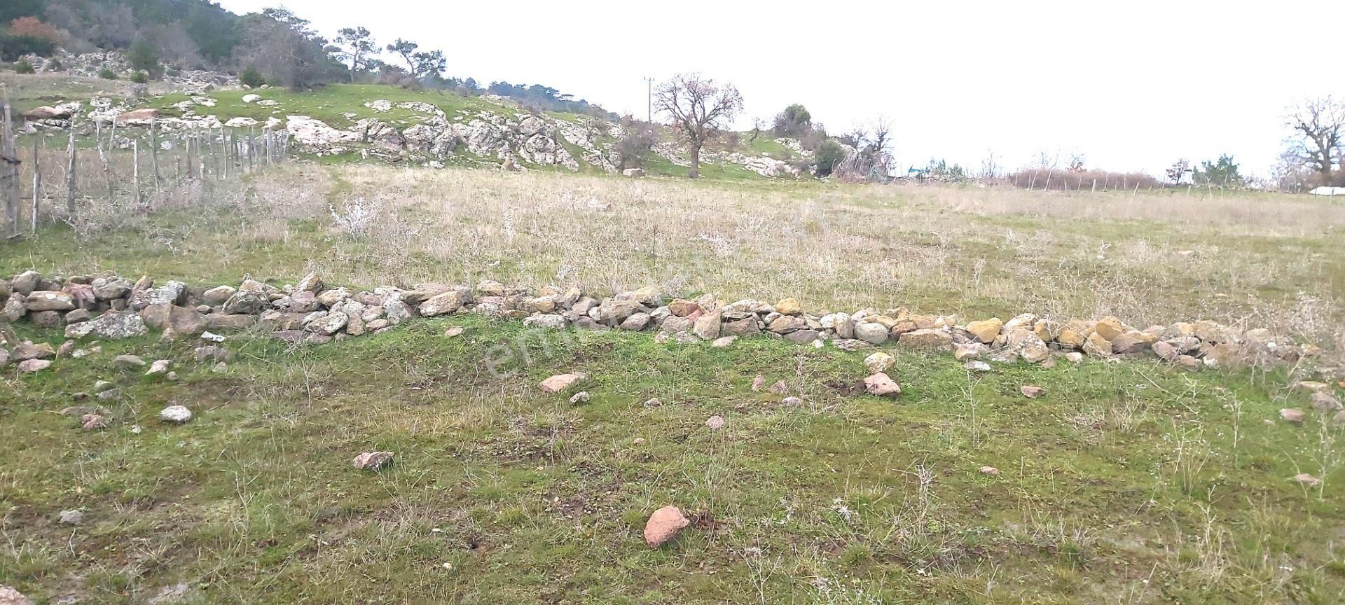 Akçay Artı Emlak'tan Havran Kocadağ'da Satılık 6400m2 Tarla - Görsel 20