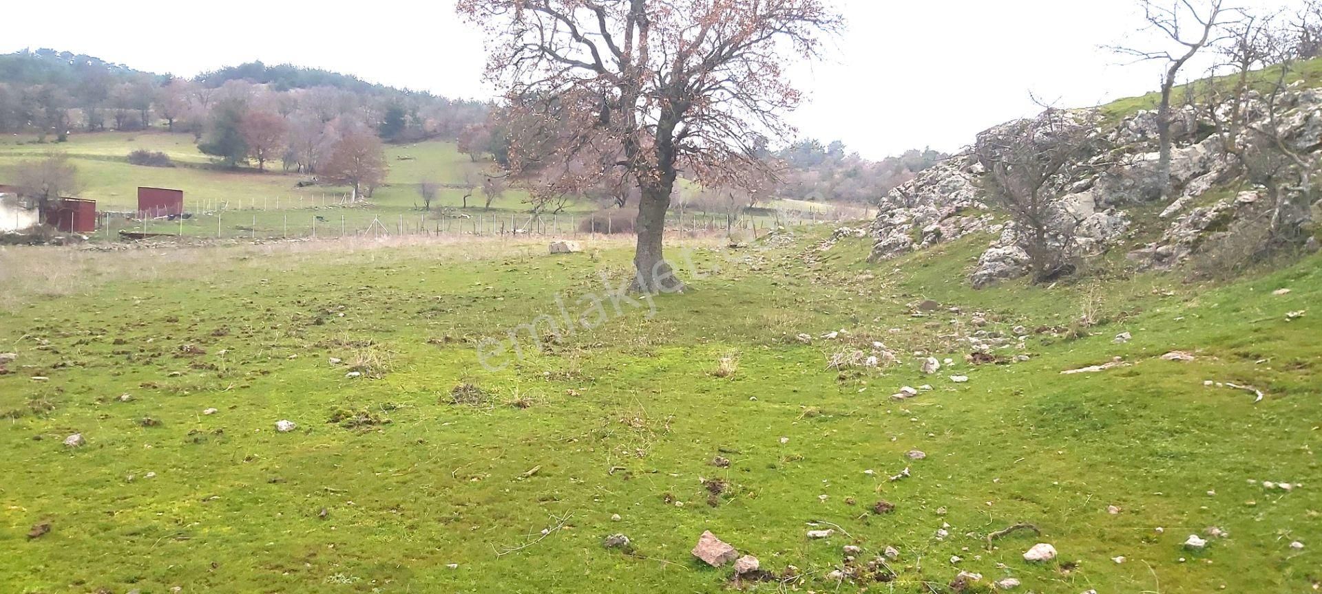 Akçay Artı Emlak'tan Havran Kocadağ'da Satılık 6400m2 Tarla - Görsel 6