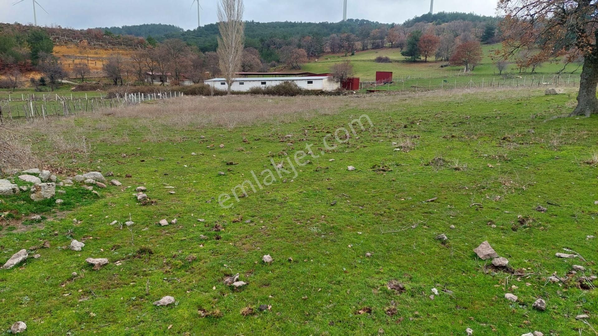 Akçay Artı Emlak'tan Havran Kocadağ'da Satılık 6400m2 Tarla