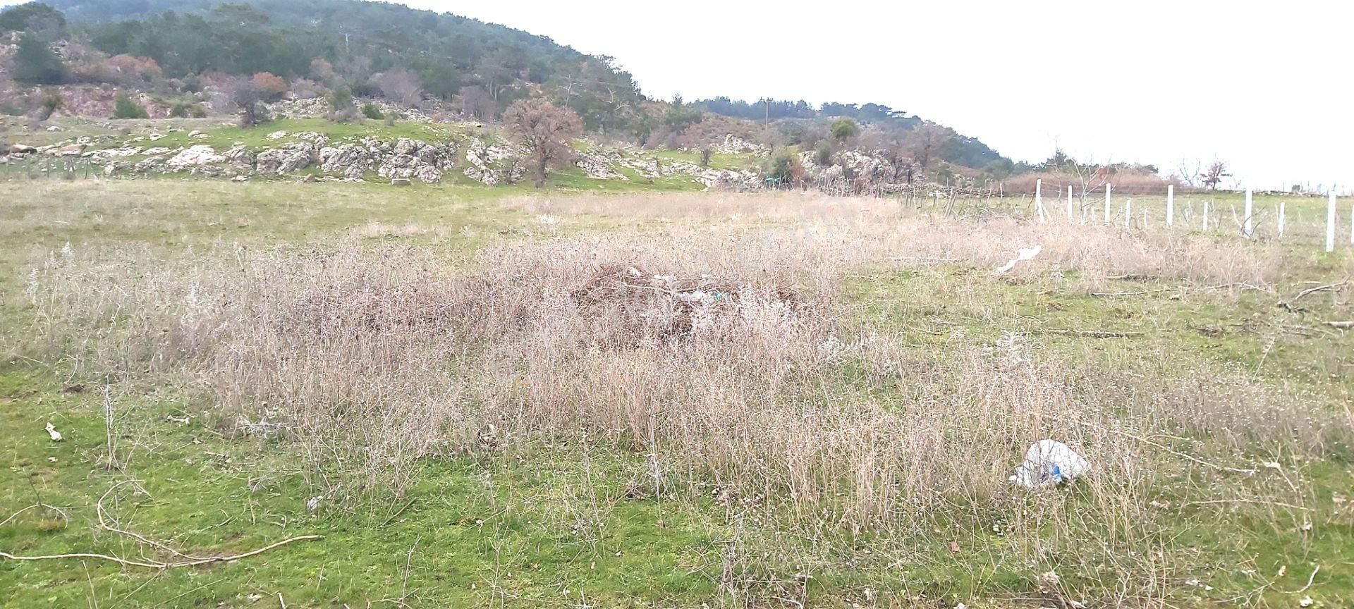 Akçay Artı Emlak'tan Havran Kocadağ'da Satılık 6400m2 Tarla - Görsel 10
