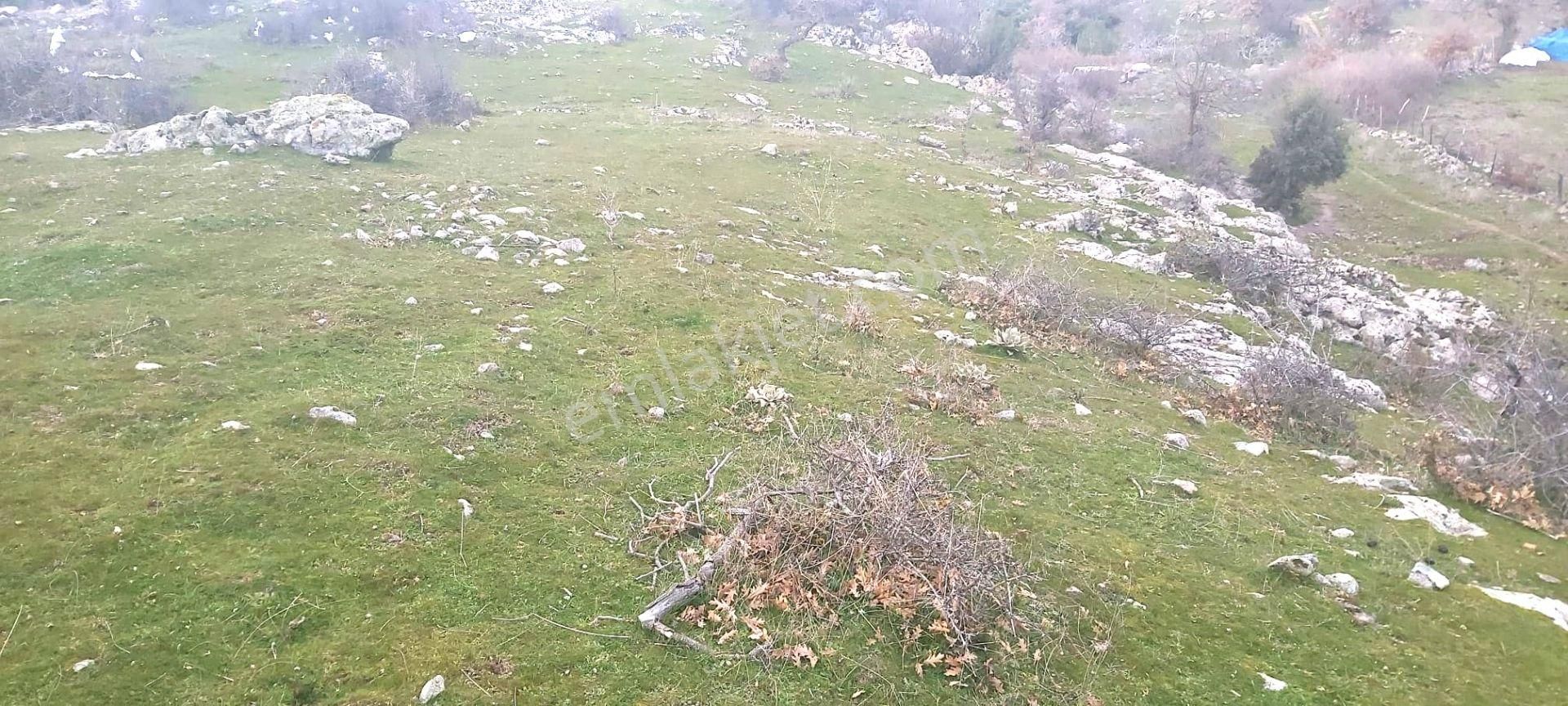 Akçay Artı Emlak'tan Havran Kocadağ'da Satılık 6400m2 Tarla - Görsel 17