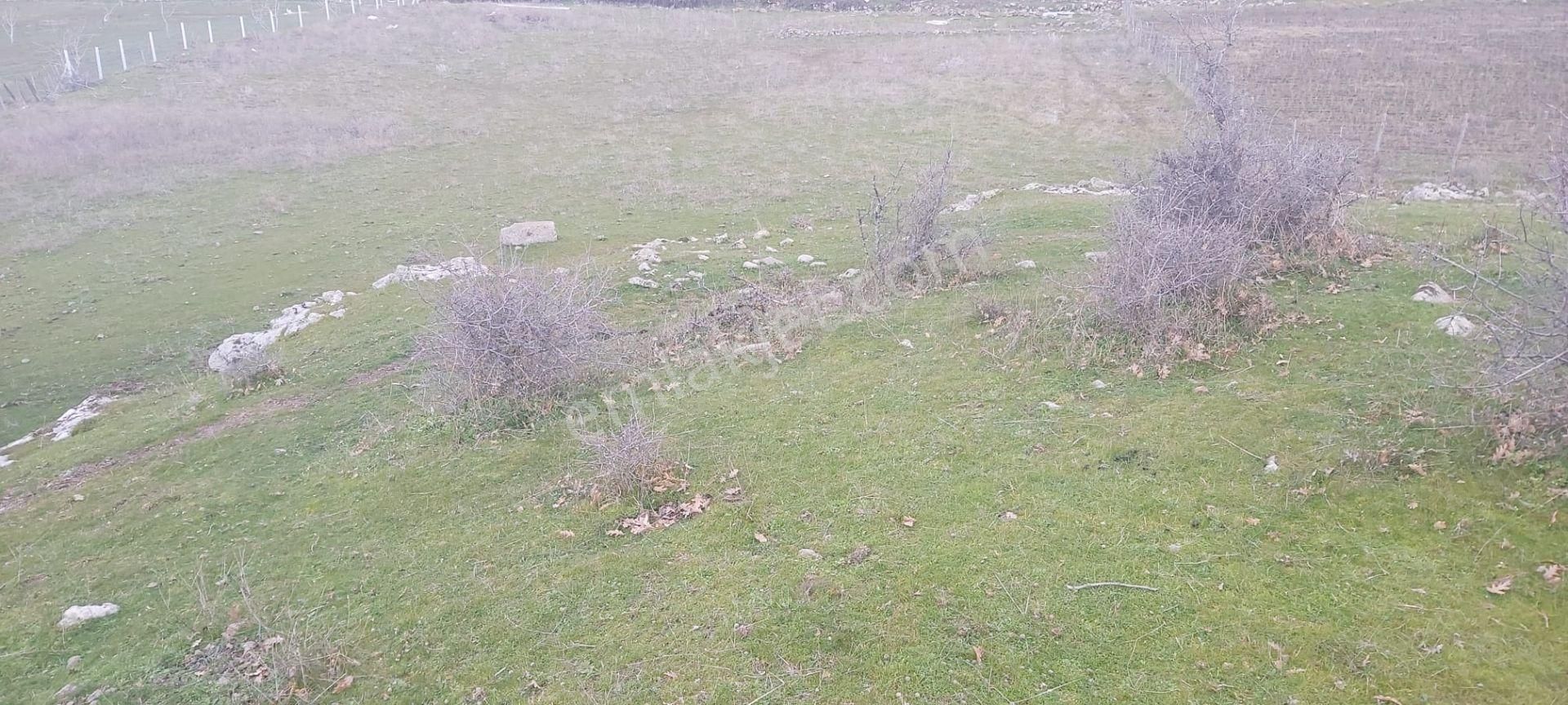 Akçay Artı Emlak'tan Havran Kocadağ'da Satılık 6400m2 Tarla - Görsel 15