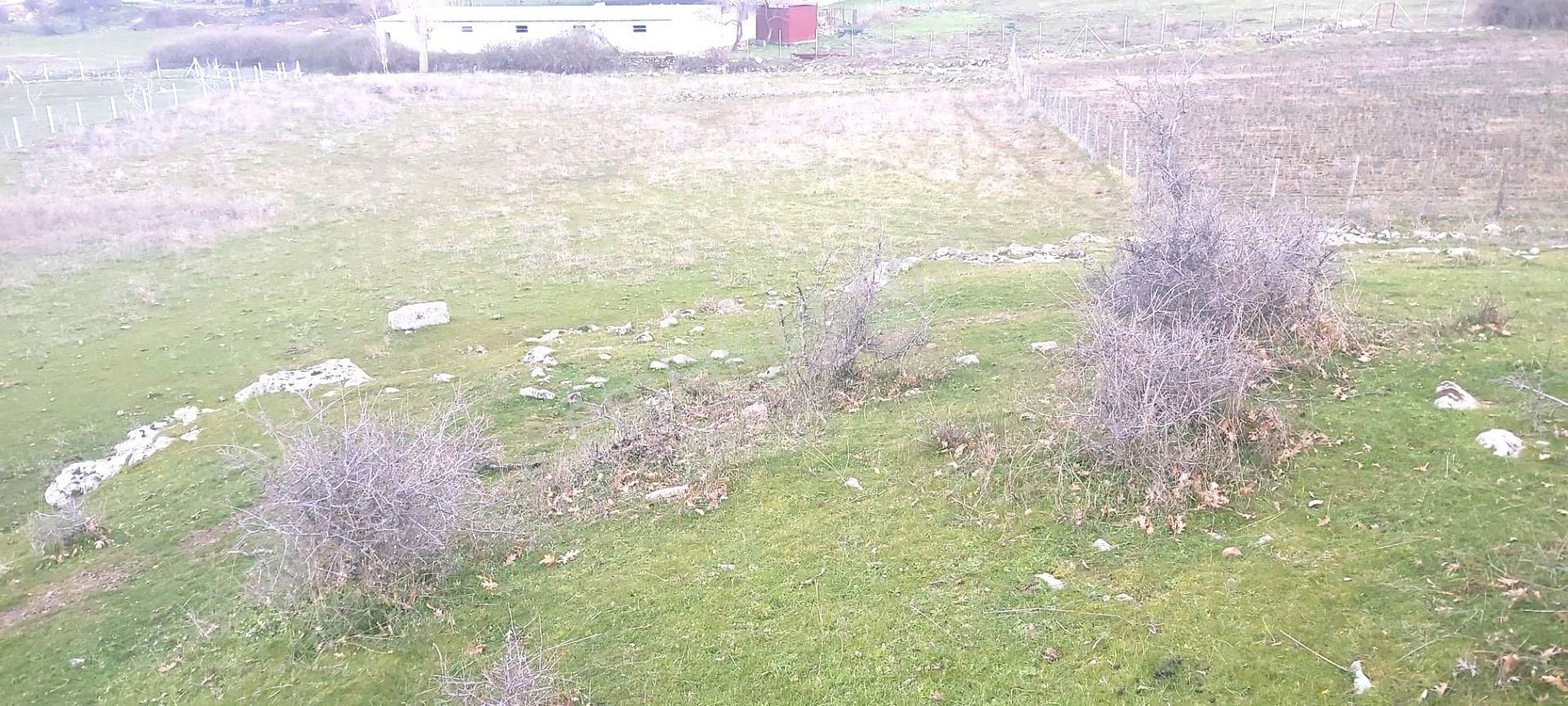 Akçay Artı Emlak'tan Havran Kocadağ'da Satılık 6400m2 Tarla - Görsel 9