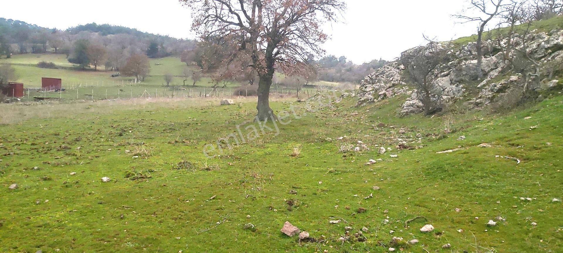 Akçay Artı Emlak'tan Havran Kocadağ'da Satılık 6400m2 Tarla - Görsel 5