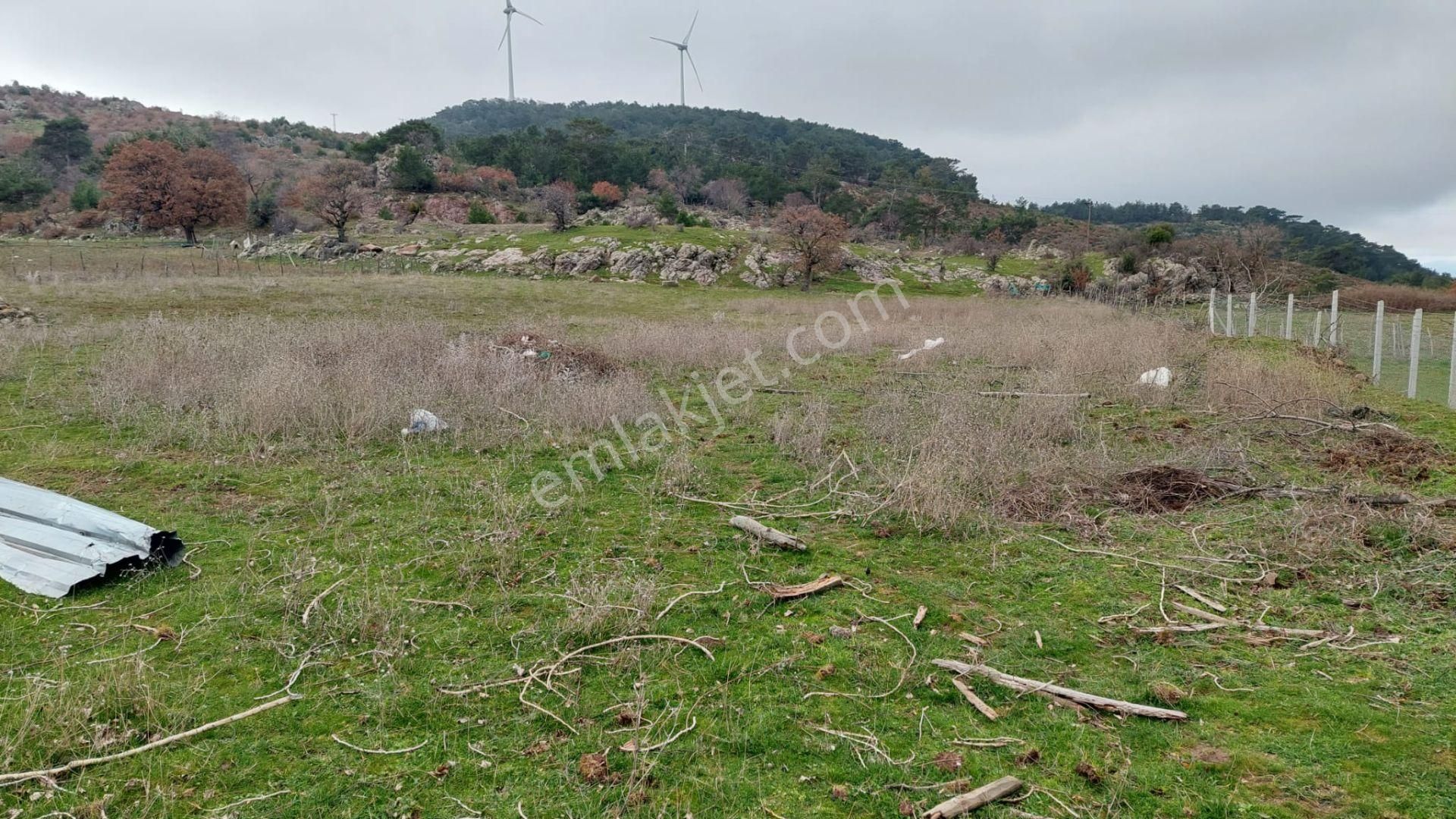 Akçay Artı Emlak'tan Havran Kocadağ'da Satılık 6400m2 Tarla - Görsel 27