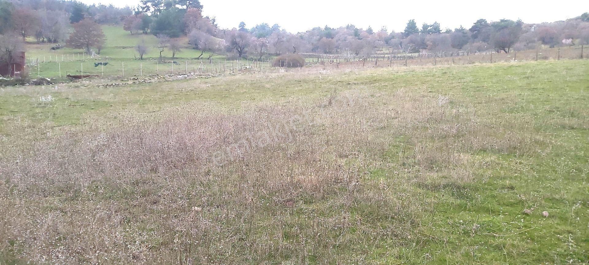 Akçay Artı Emlak'tan Havran Kocadağ'da Satılık 6400m2 Tarla - Görsel 7