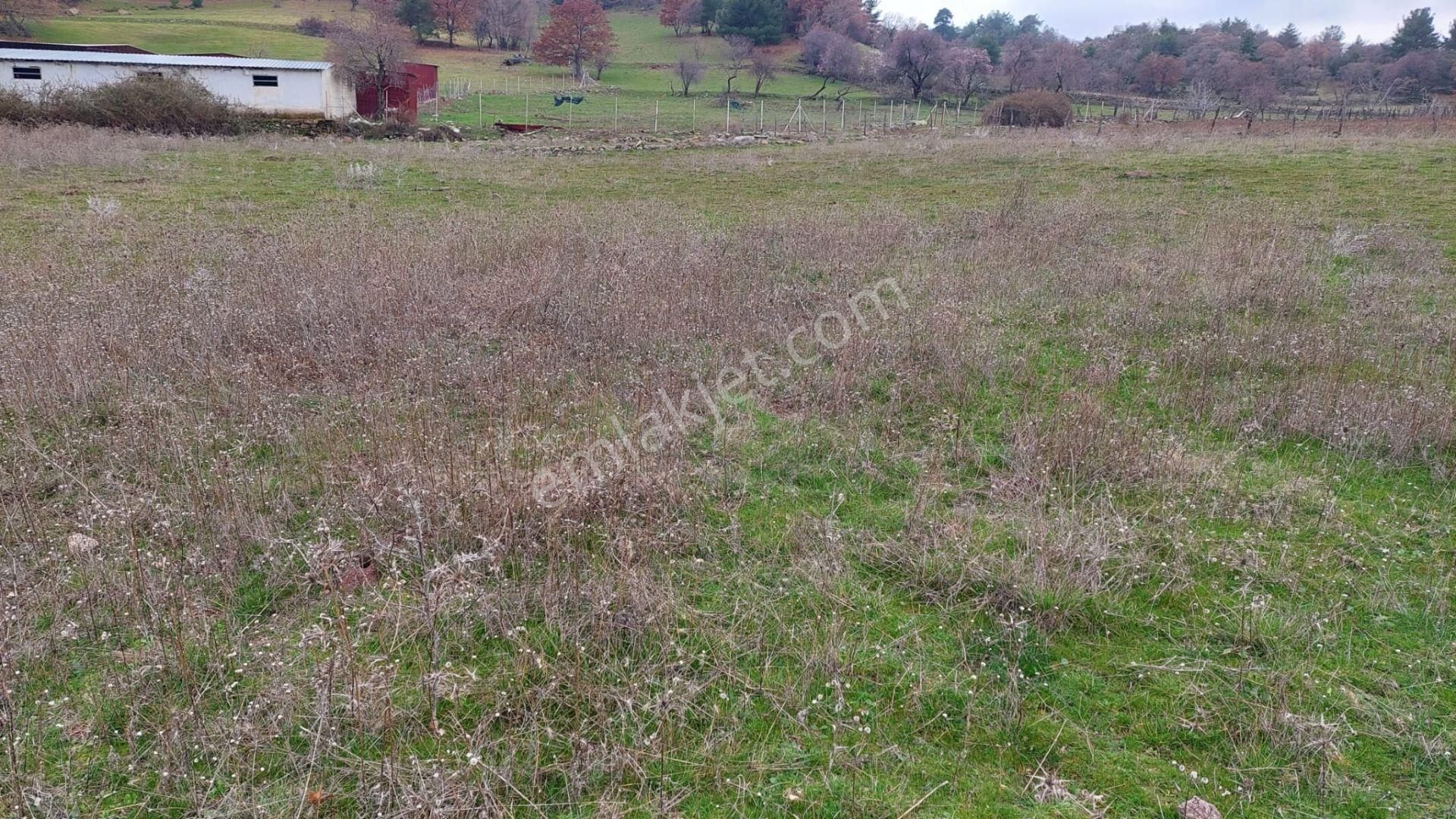 Akçay Artı Emlak'tan Havran Kocadağ'da Satılık 6400m2 Tarla - Görsel 23