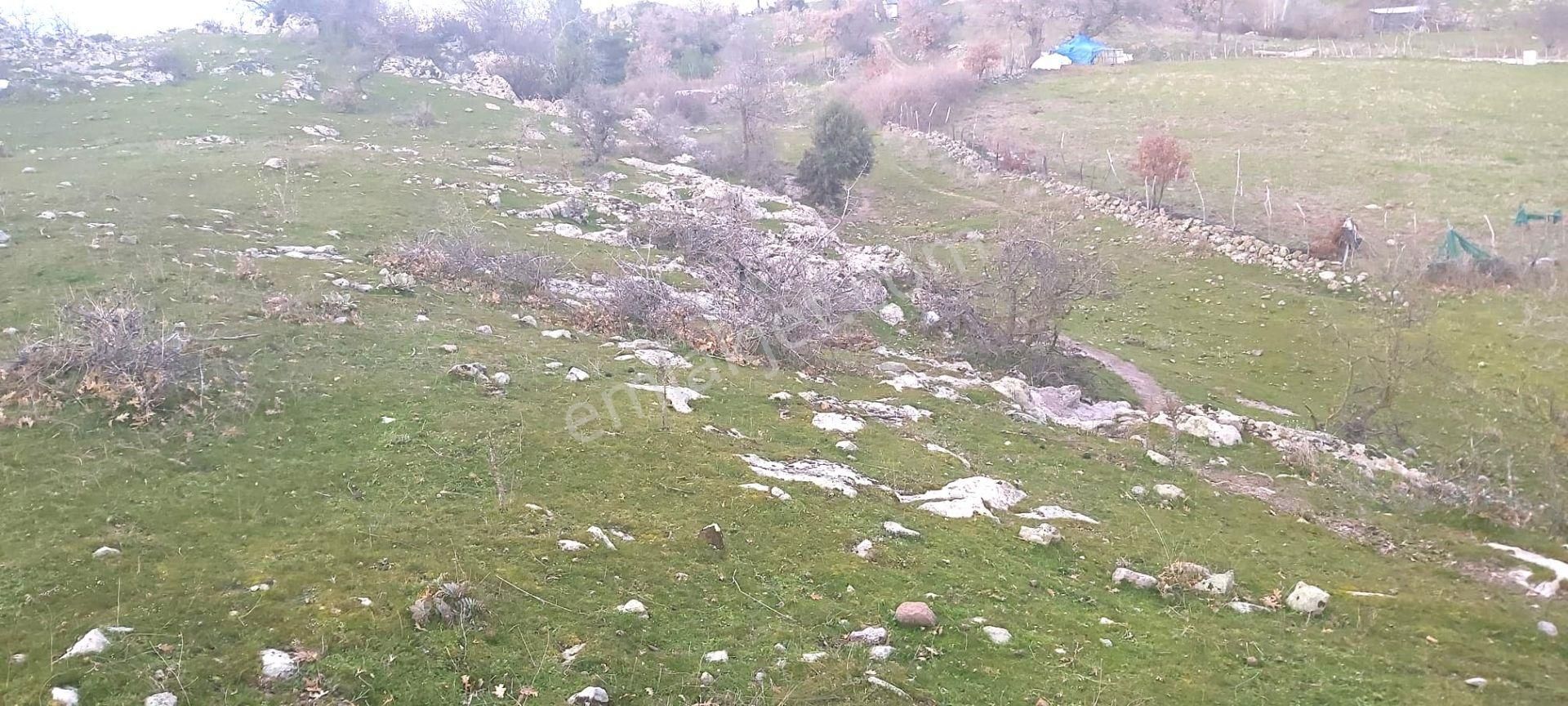 Akçay Artı Emlak'tan Havran Kocadağ'da Satılık 6400m2 Tarla - Görsel 2