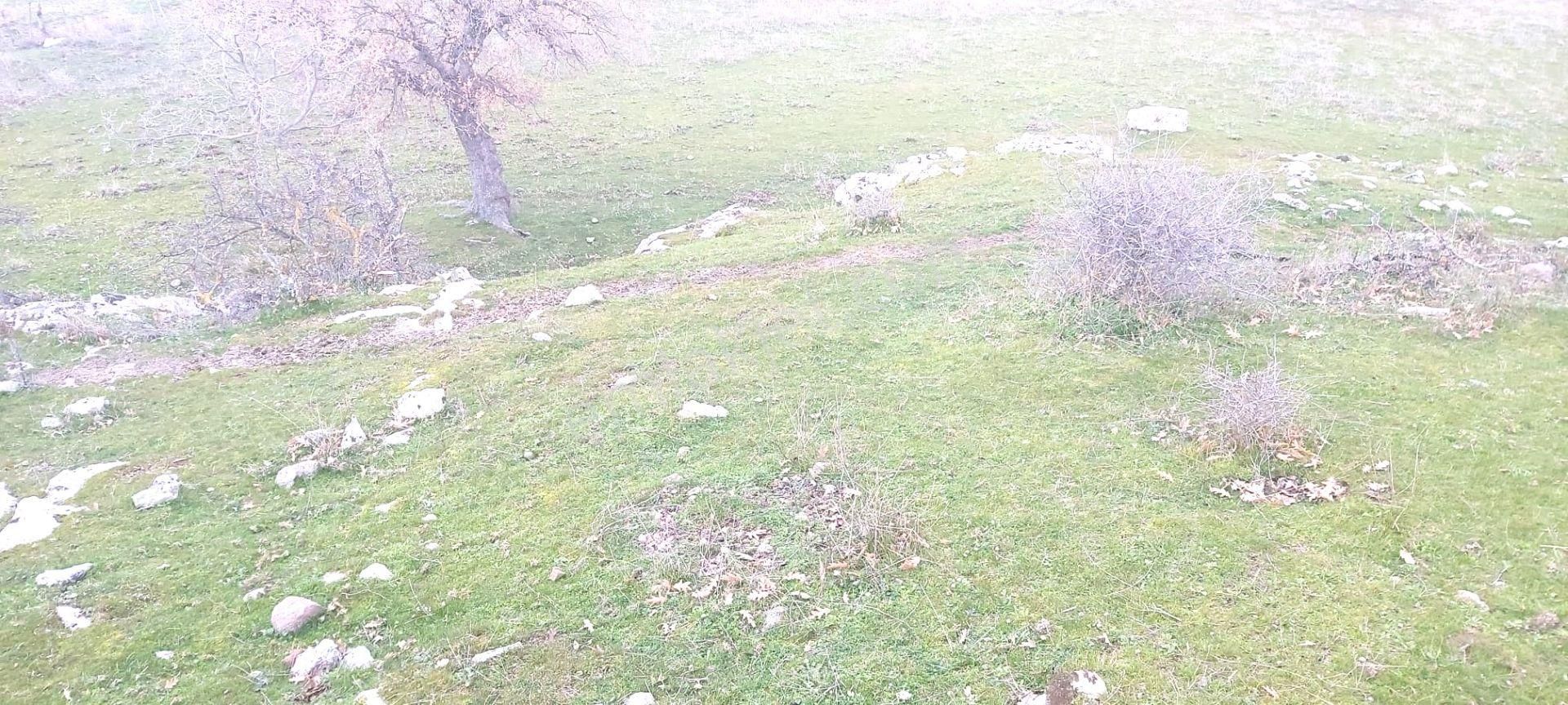 Akçay Artı Emlak'tan Havran Kocadağ'da Satılık 6400m2 Tarla - Görsel 11