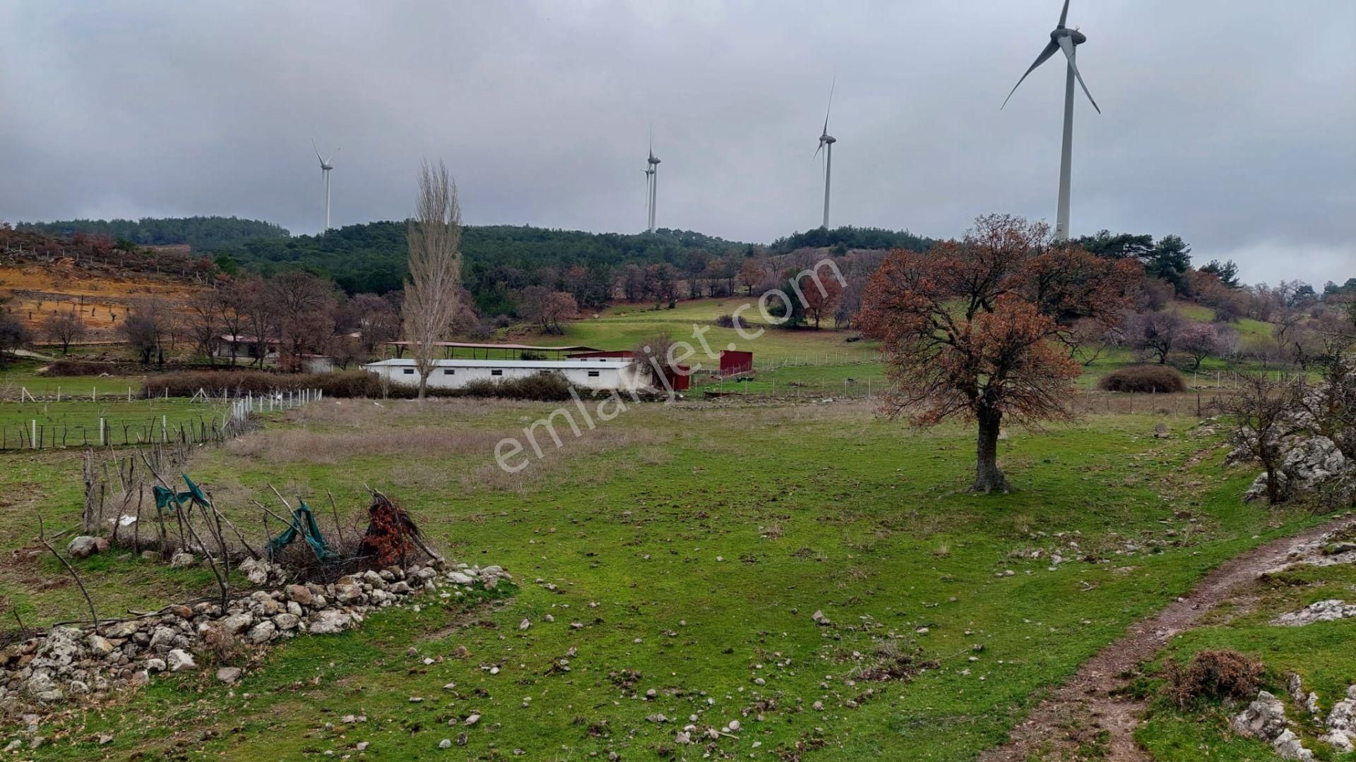 Akçay Artı Emlak'tan Havran Kocadağ'da Satılık 6400m2 Tarla - Görsel 31