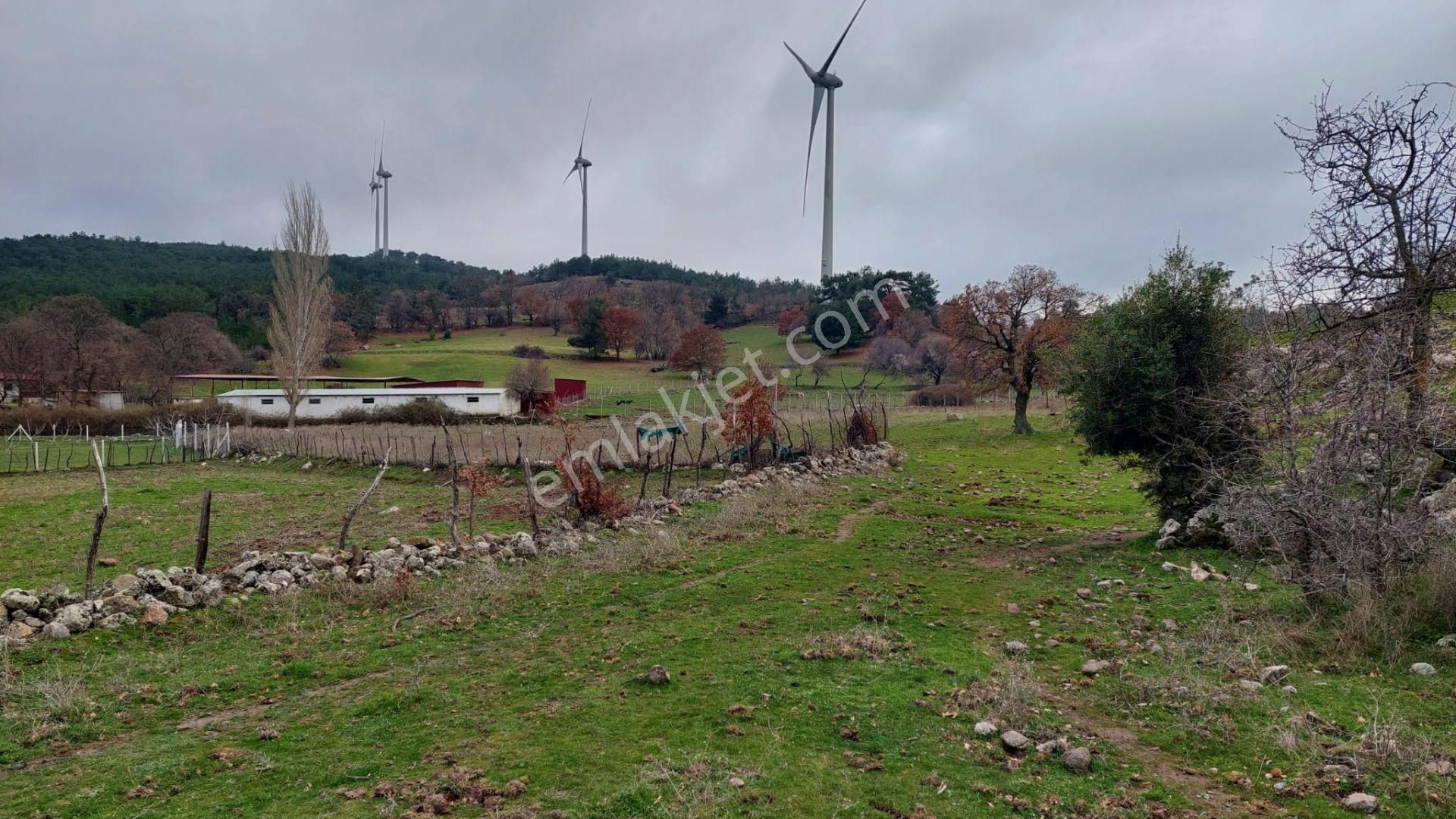 Akçay Artı Emlak'tan Havran Kocadağ'da Satılık 6400m2 Tarla - Görsel 24