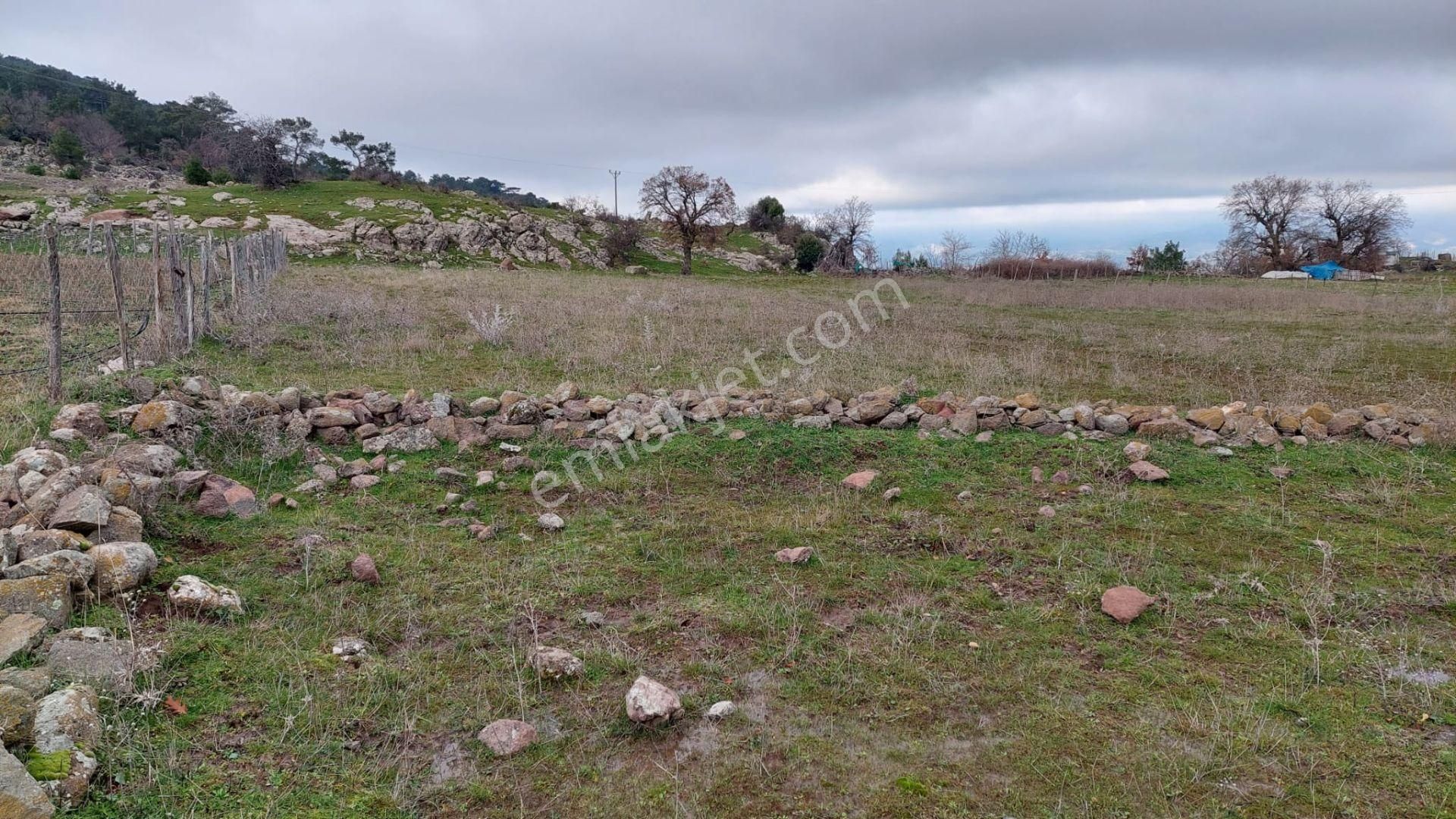 Akçay Artı Emlak'tan Havran Kocadağ'da Satılık 6400m2 Tarla - Görsel 29
