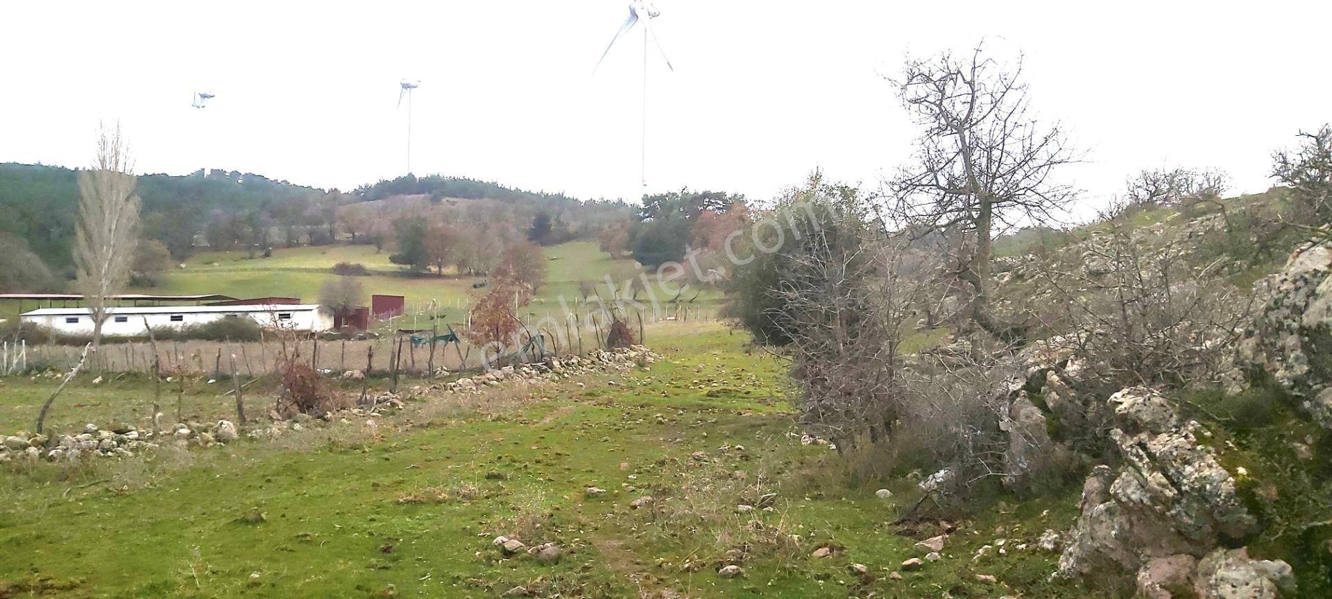 Akçay Artı Emlak'tan Havran Kocadağ'da Satılık 6400m2 Tarla - Görsel 3