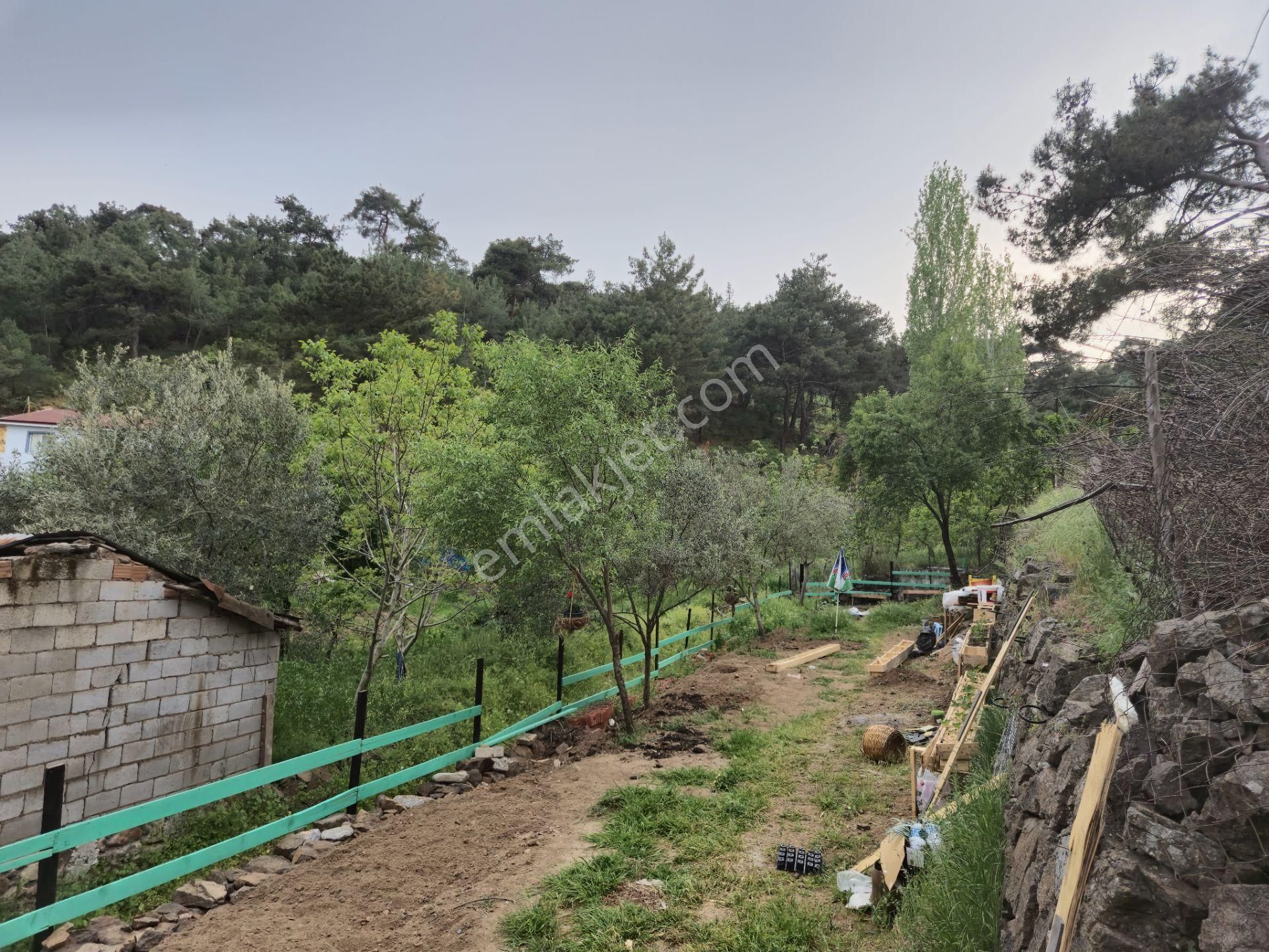 Tek Yetkili Artı'dan Havran Köylüce'de Satılık 190 M2 Bahçe - Görsel 21