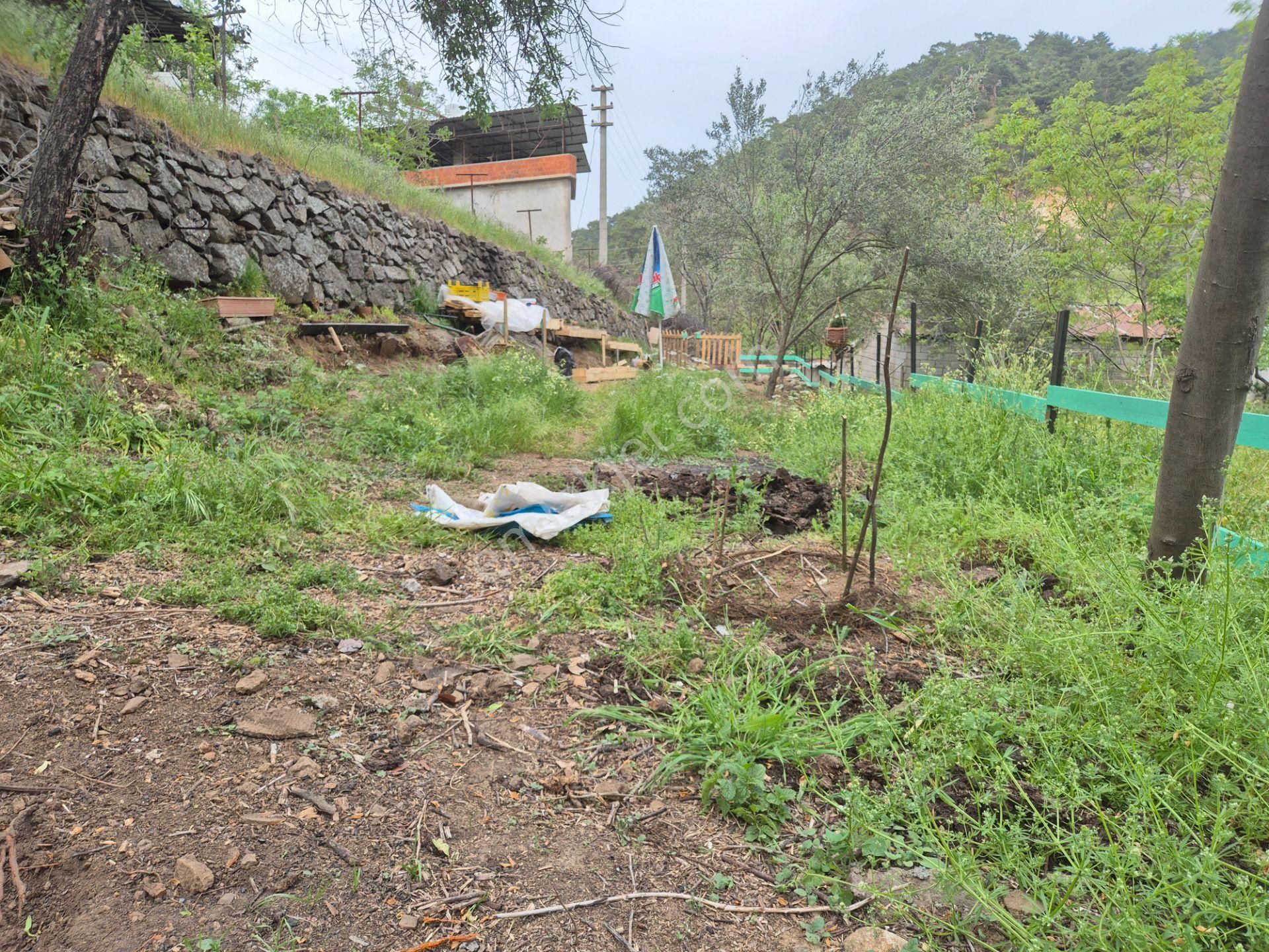 Tek Yetkili Artı'dan Havran Köylüce'de Satılık 190 M2 Bahçe - Görsel 7