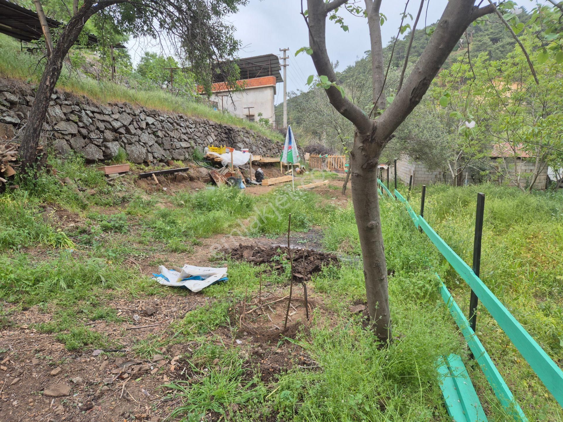 Tek Yetkili Artı'dan Havran Köylüce'de Satılık 190 M2 Bahçe - Görsel 6