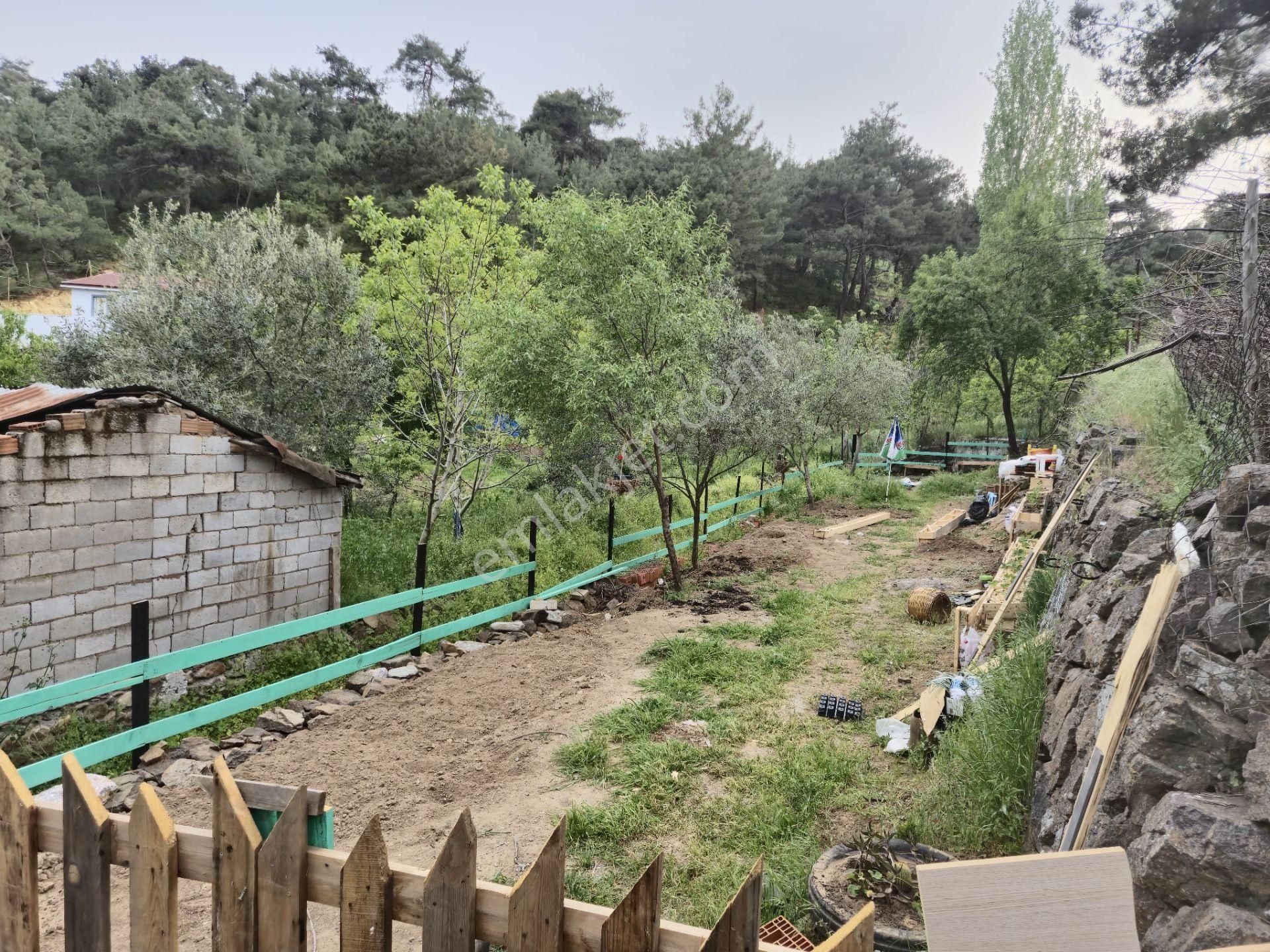 Tek Yetkili Artı'dan Havran Köylüce'de Satılık 190 M2 Bahçe - Görsel 31