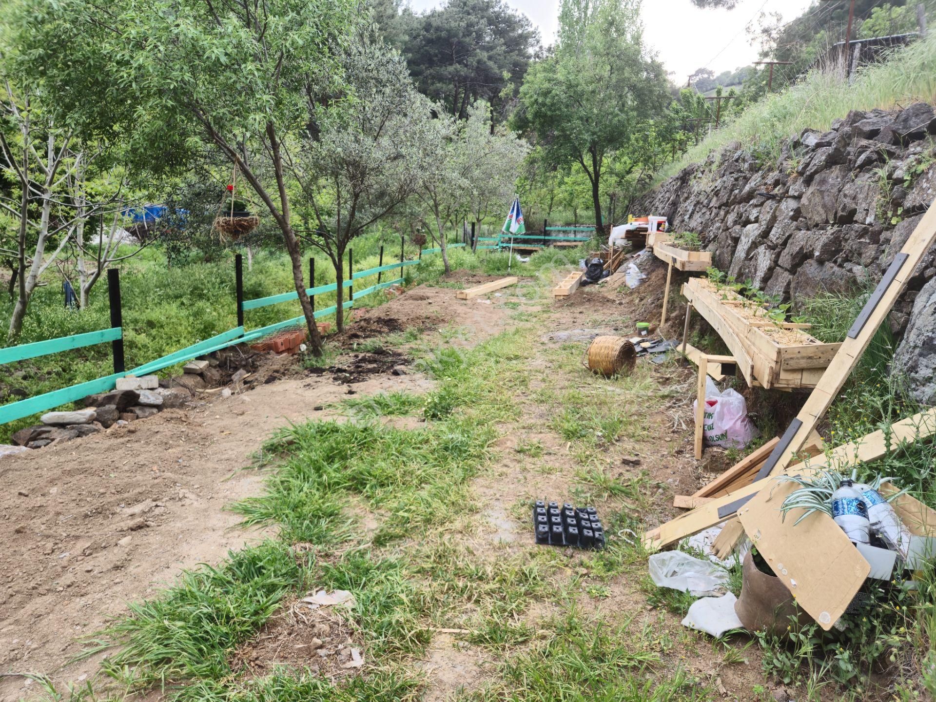 Tek Yetkili Artı'dan Havran Köylüce'de Satılık 190 M2 Bahçe