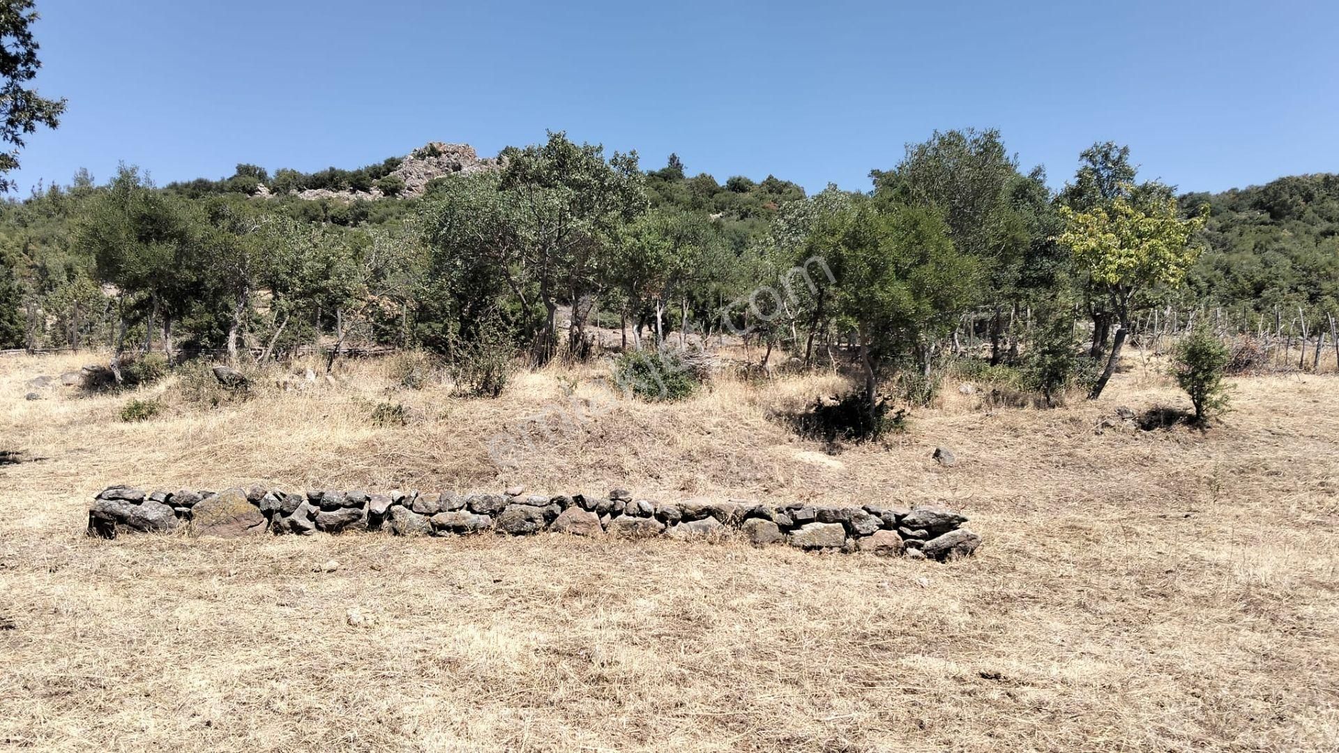 Artı Emlak'tan Havran Hallaçlar'da Satılık 6.550 M2 Tarla - Görsel 21