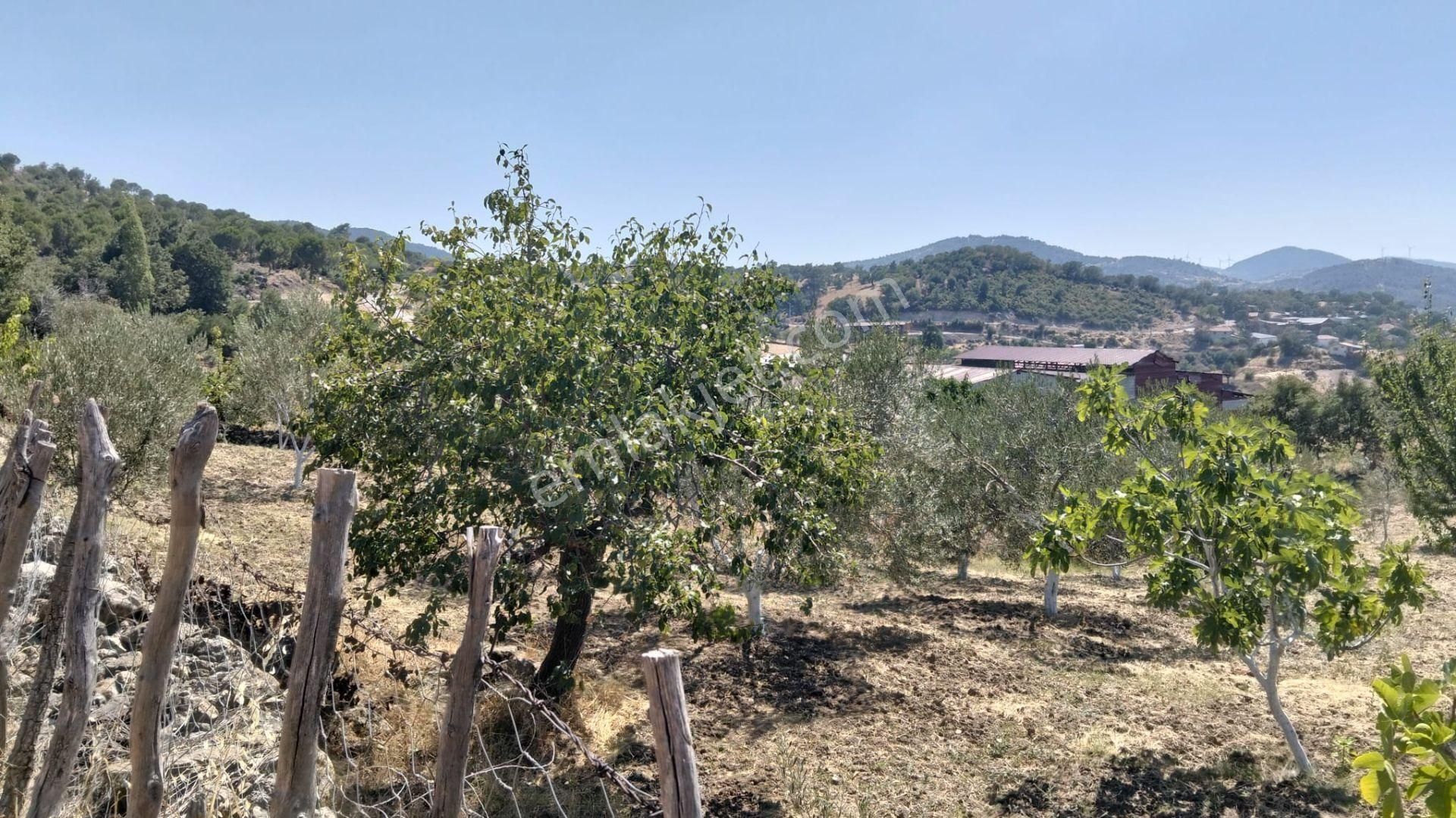 Artı Emlak'tan Havran Hallaçlar'da Satılık 6.550 M2 Tarla - Görsel 20