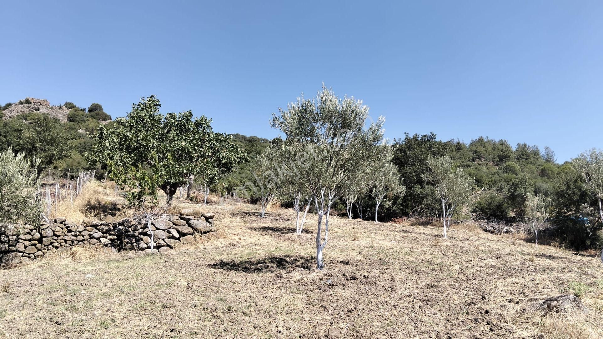 Artı Emlak'tan Havran Hallaçlar'da Satılık 6.550 M2 Tarla - Görsel 11